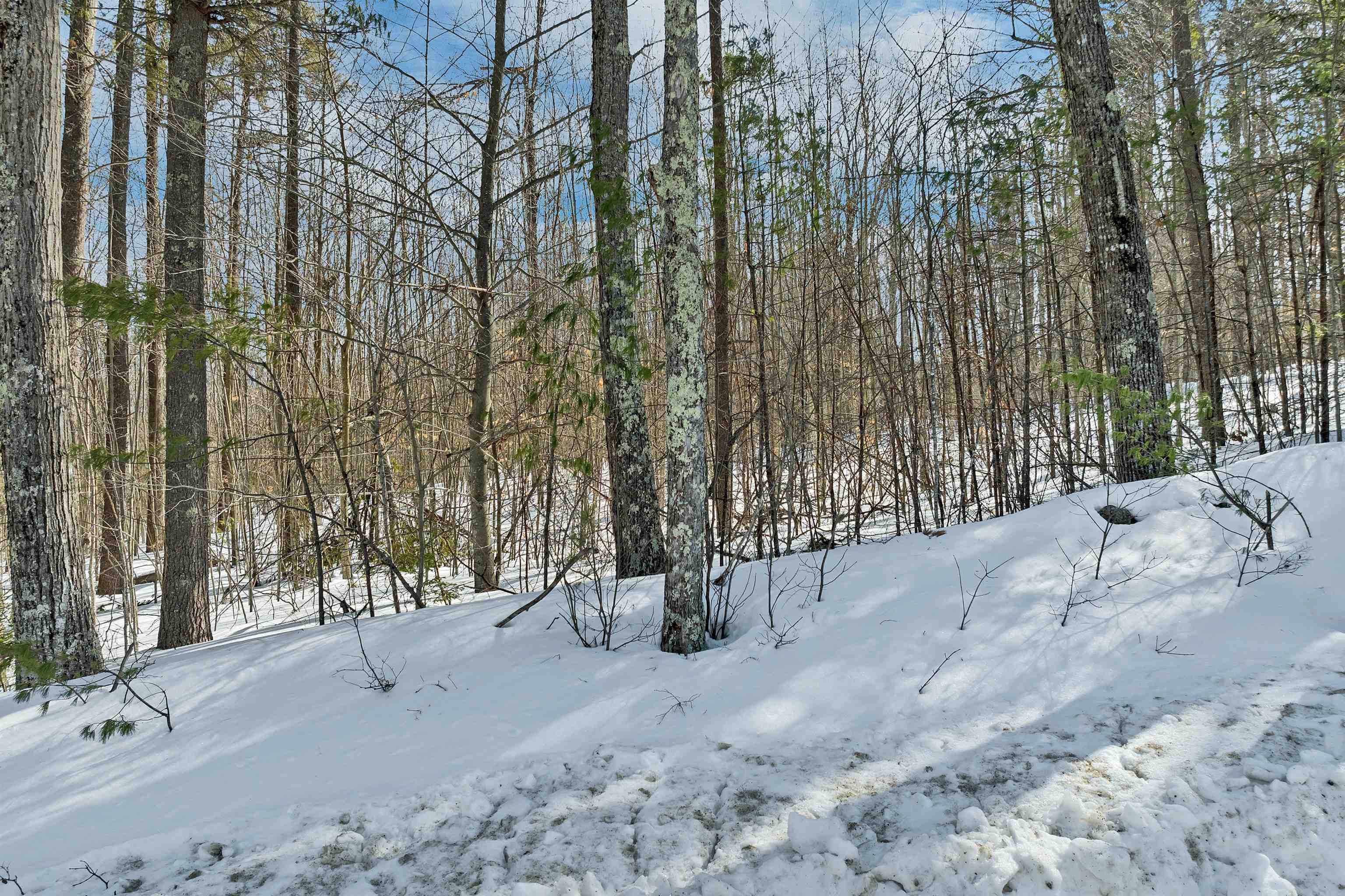 Lot 5D Phineas Graves Road