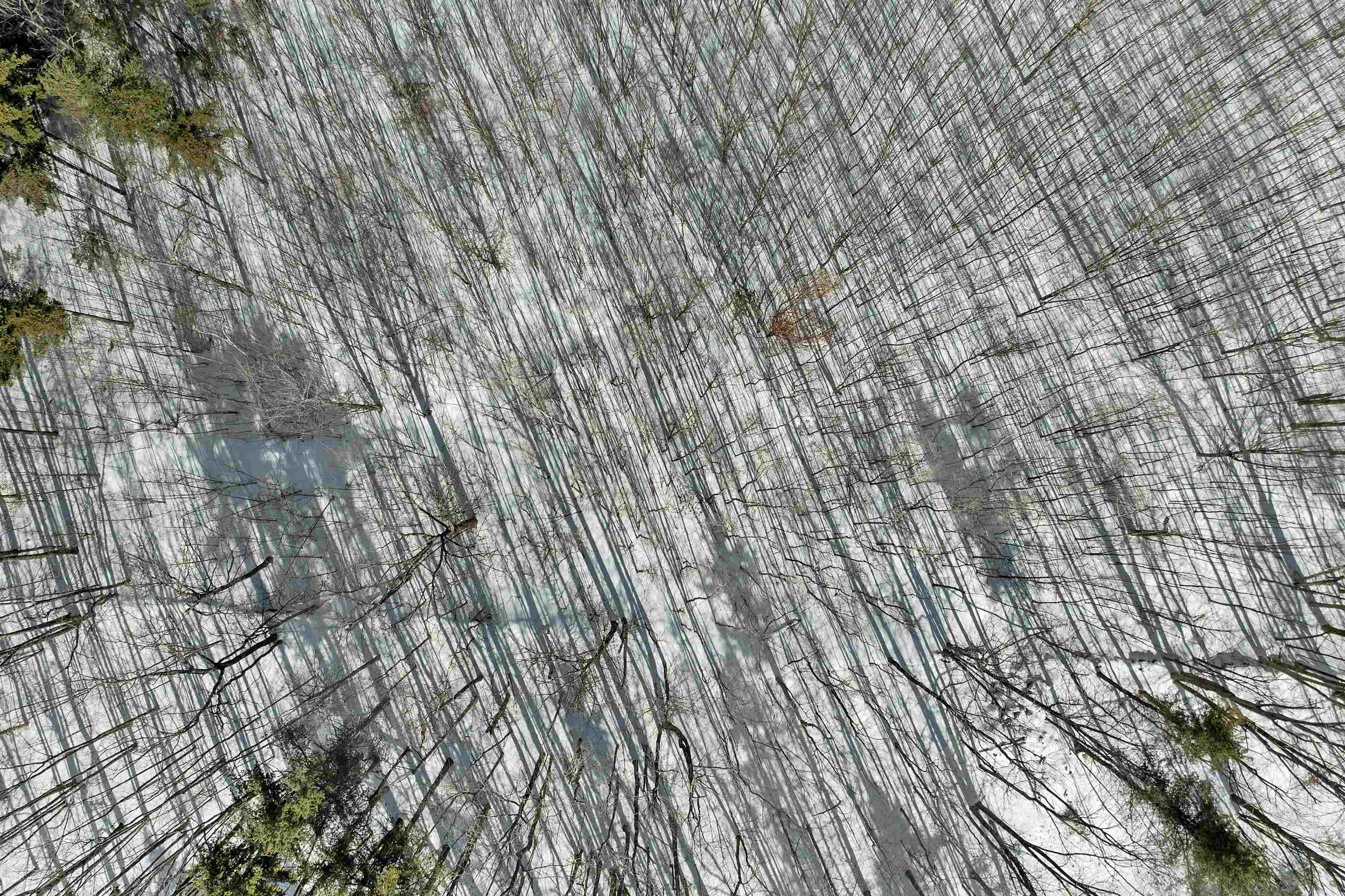 Lot 5D Phineas Graves Road