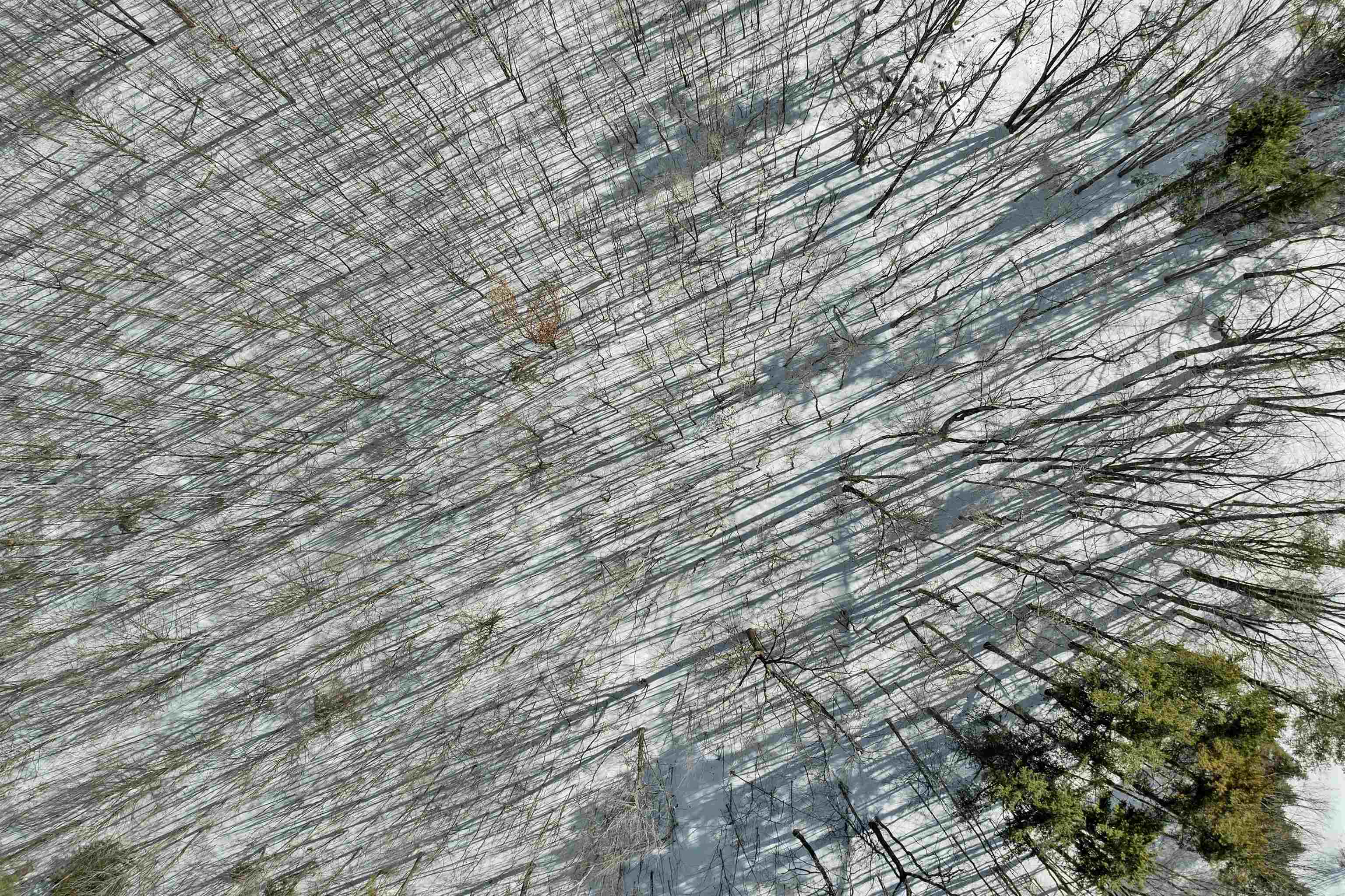 Lot 5D Phineas Graves Road