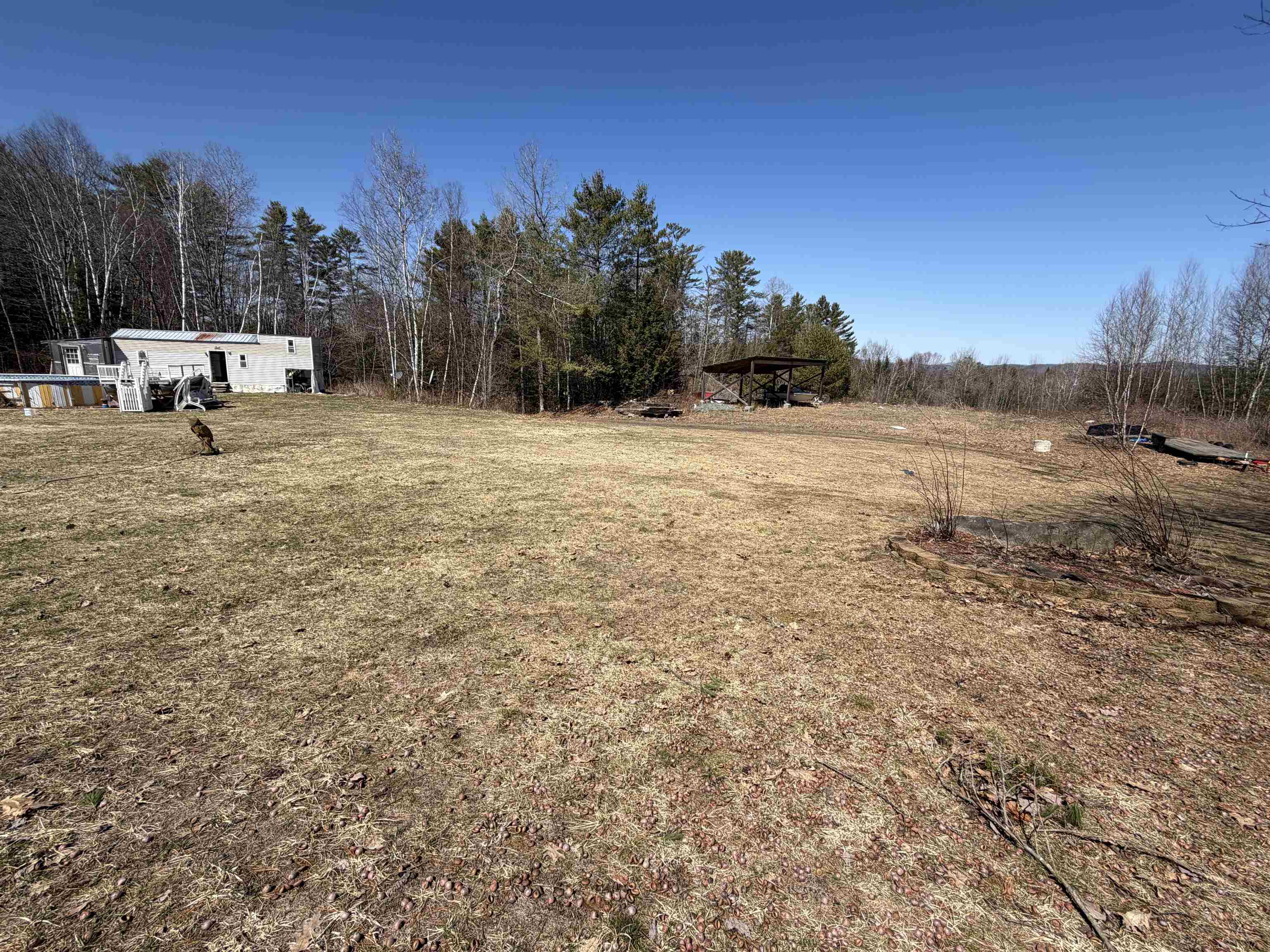 461 Butson Road