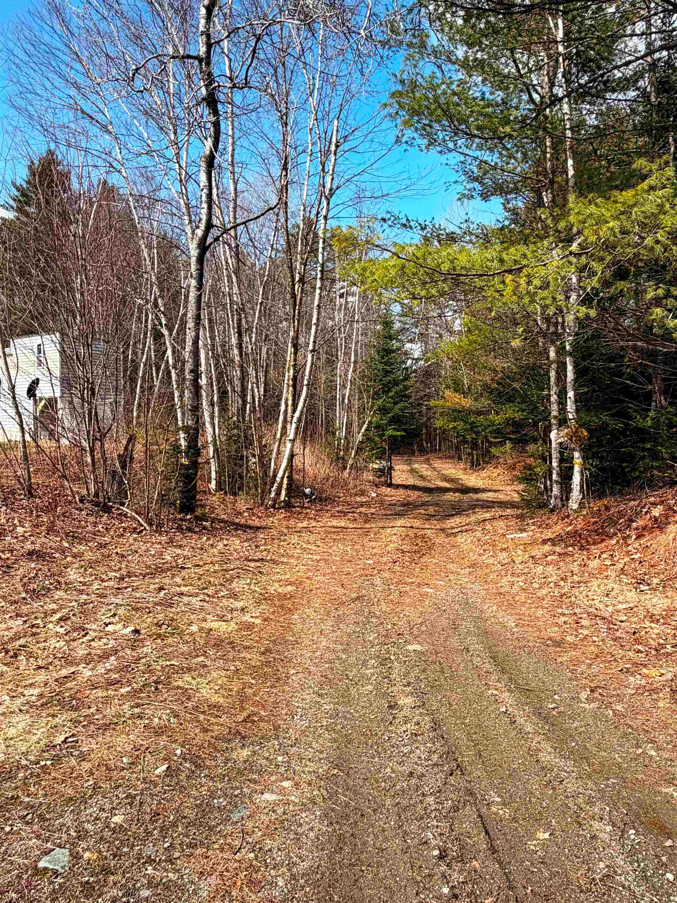 461 Butson Road