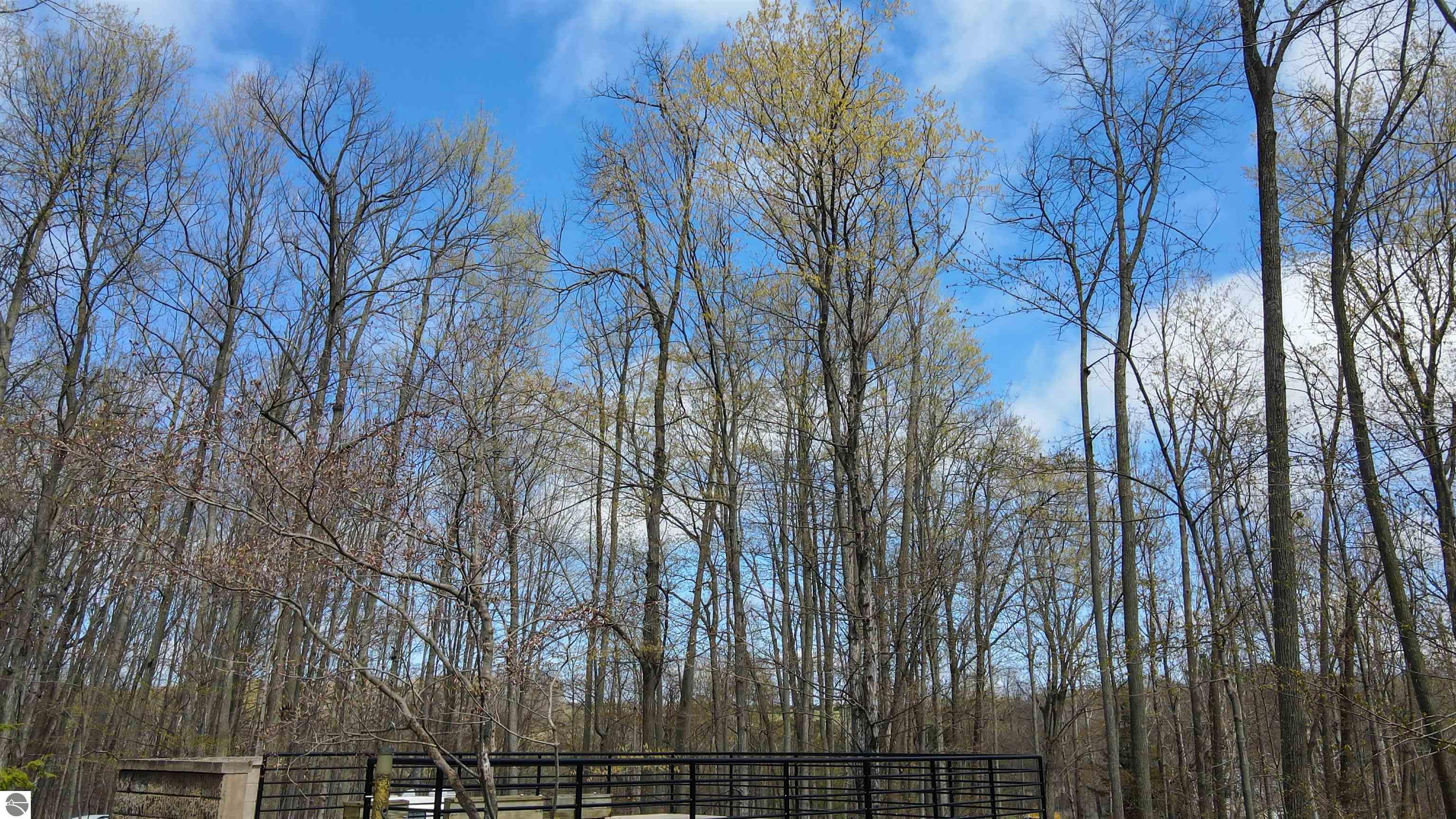 12403 Scott Road