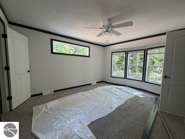 3067 White Tail Drive