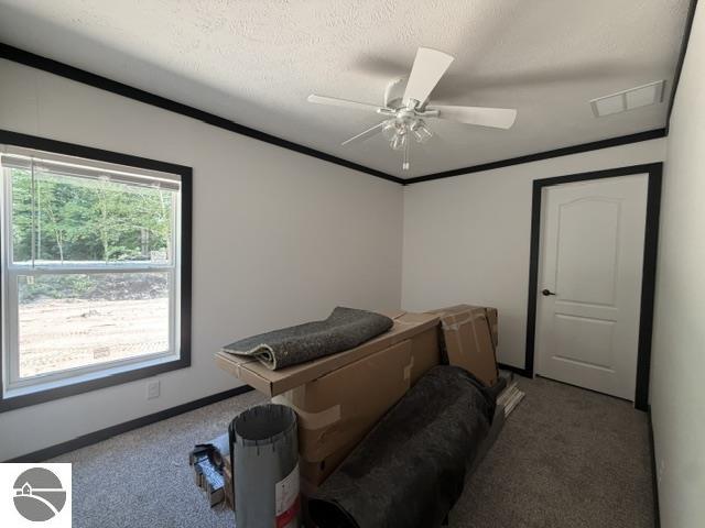 3067 White Tail Drive