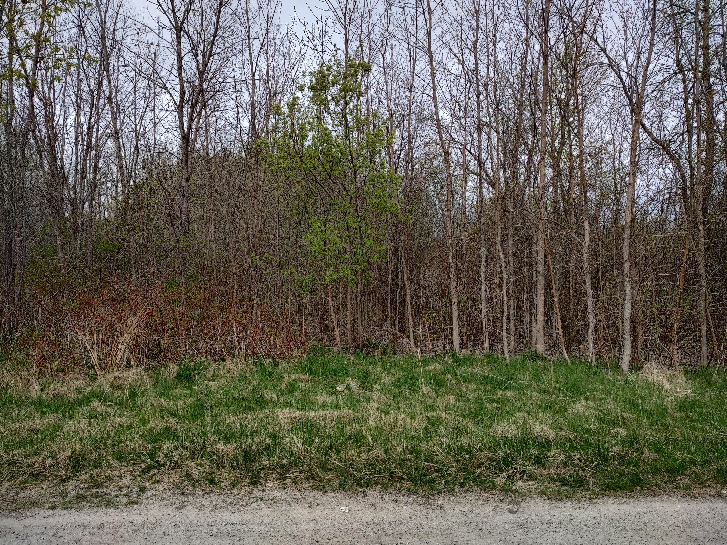 Lot 19 Watson Street