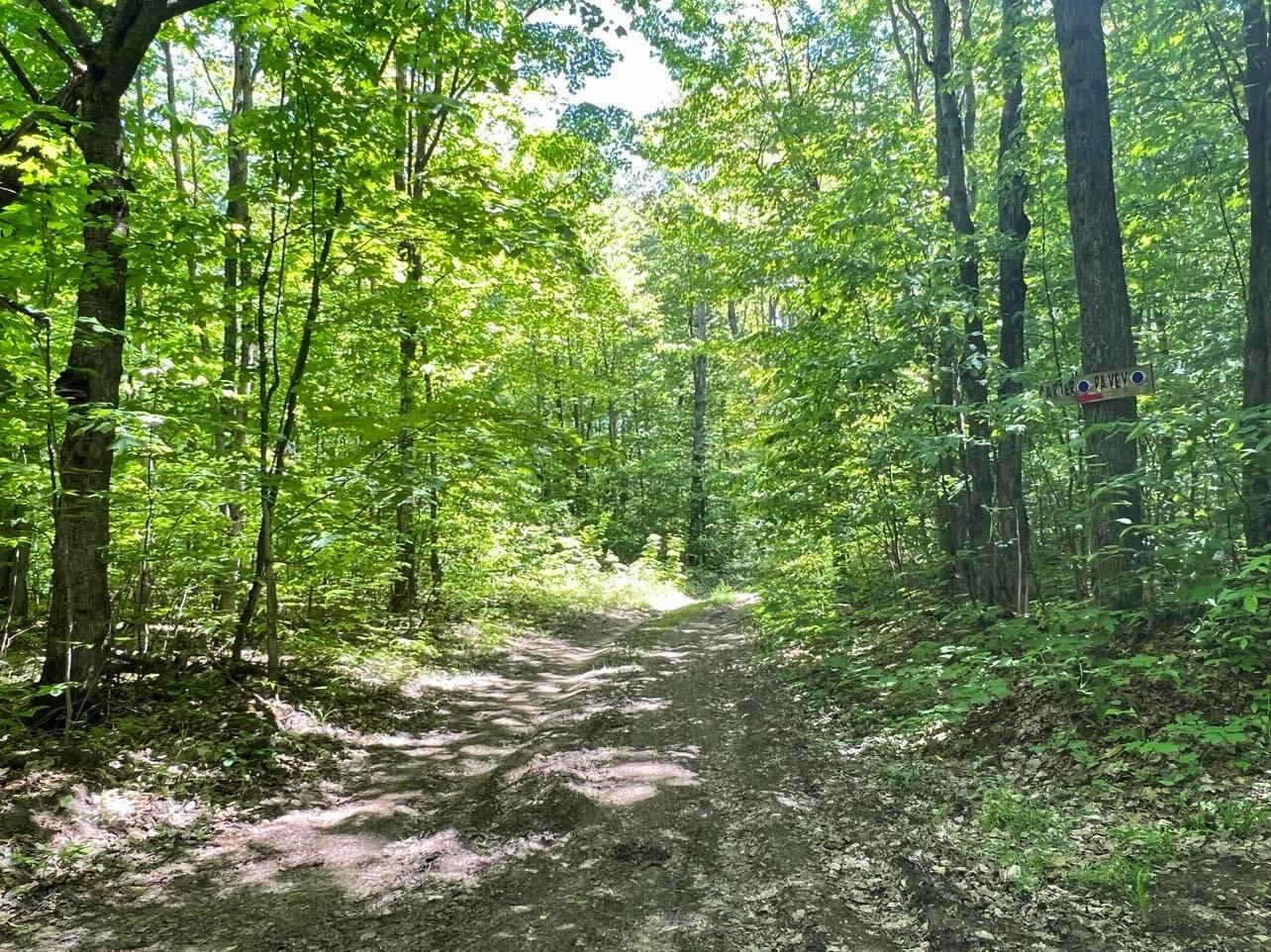 Lot 27 (H) Carter Pavey Trail