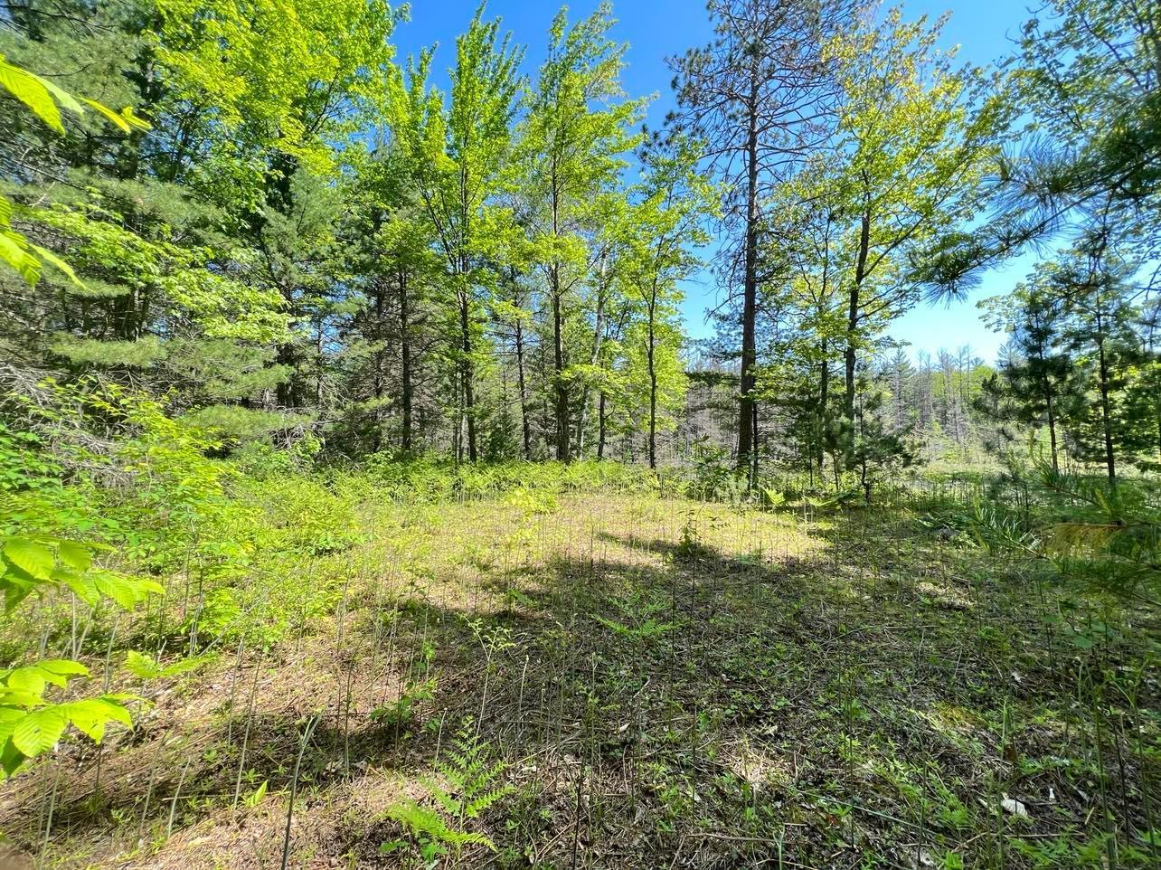 Lot 27 (H) Carter Pavey Trail