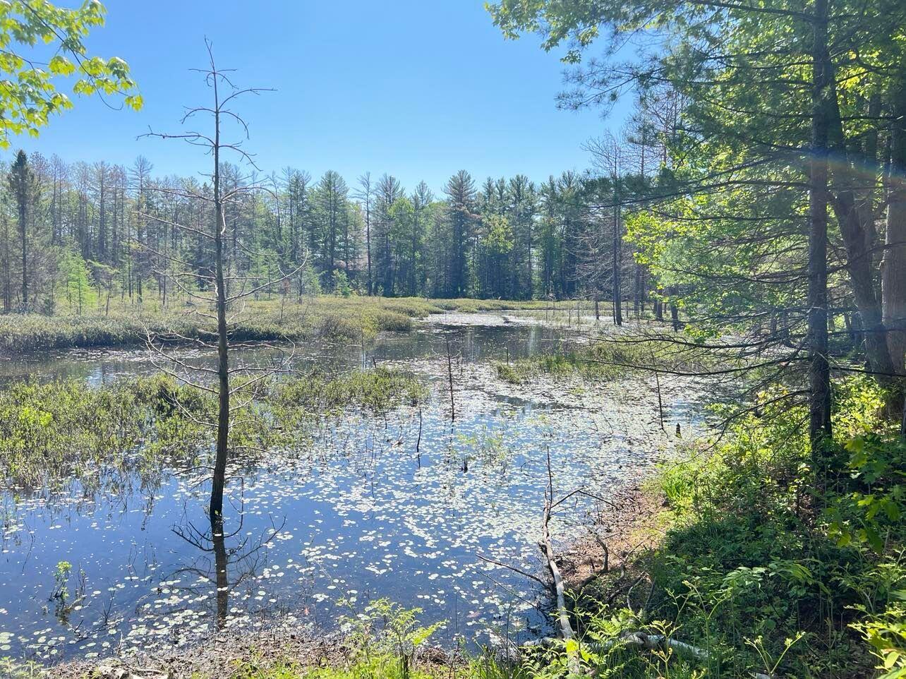 Lot 27 (H) Carter Pavey Trail