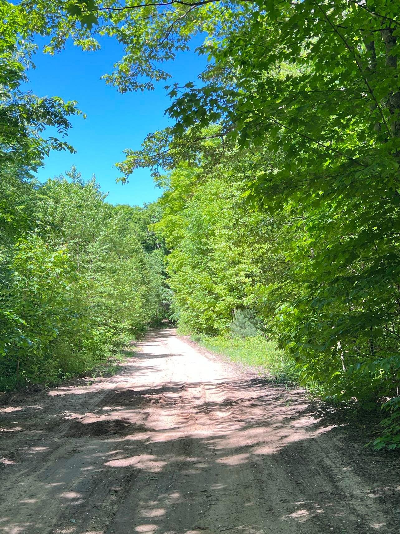 Lot 27 (H) Carter Pavey Trail