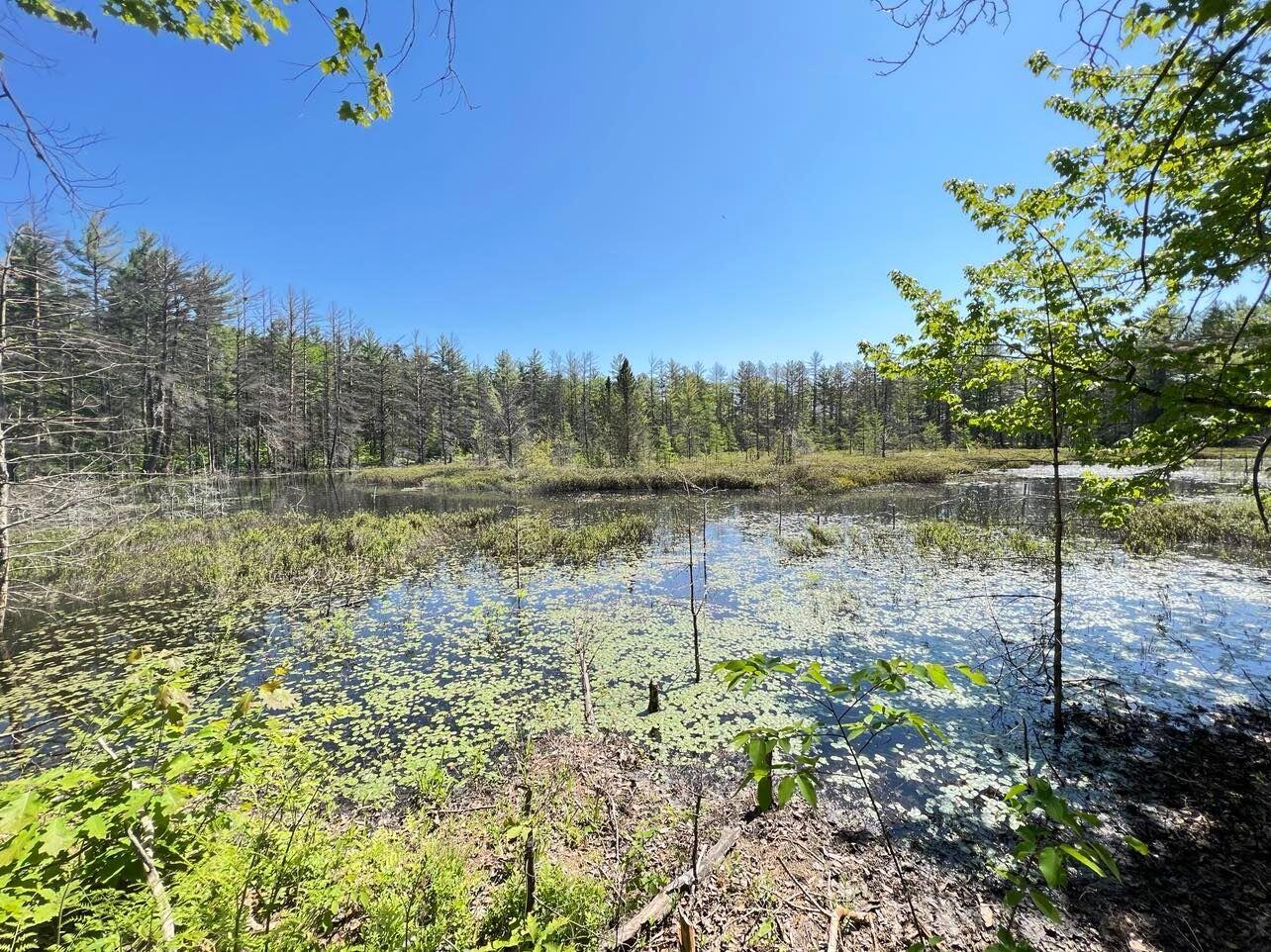 Lot 27 (H) Carter Pavey Trail