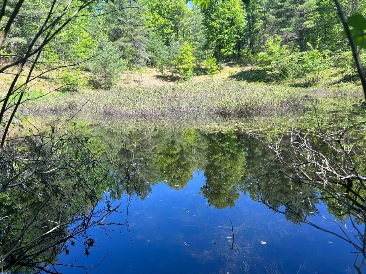 Lot 27 (H) Carter Pavey Trail