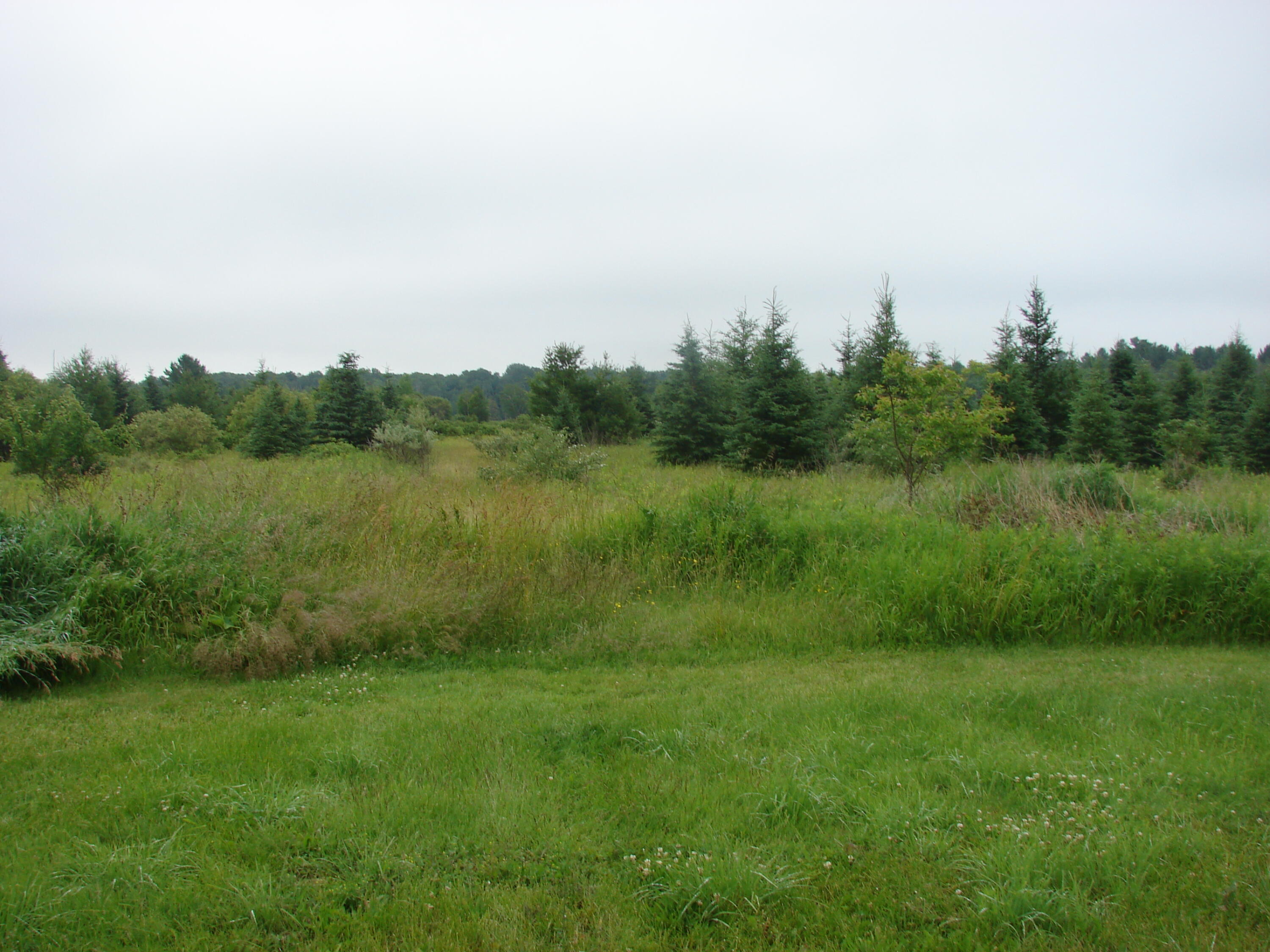 11152 Inverness Trail Road