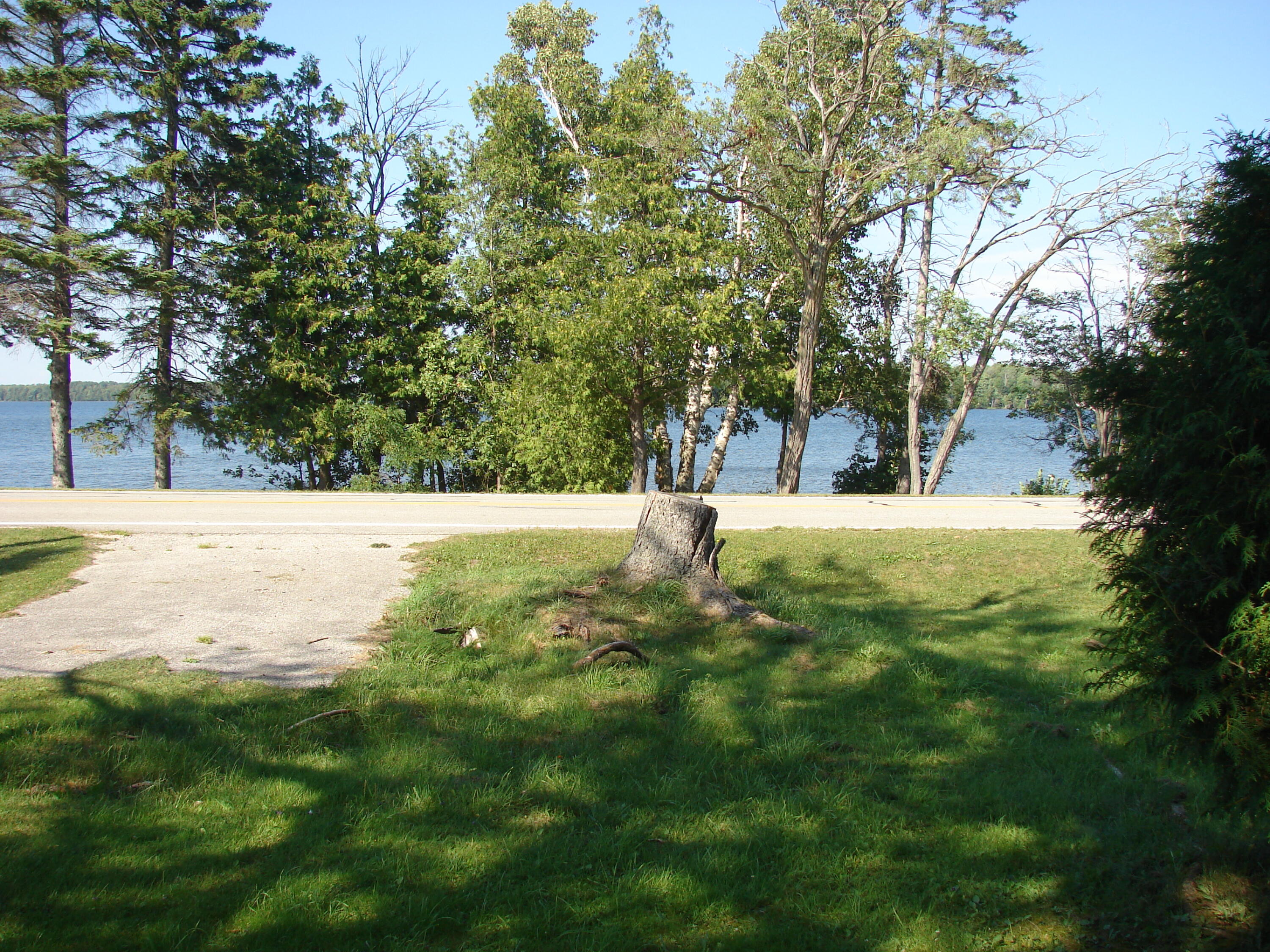 2725 W Brevort Lake Road