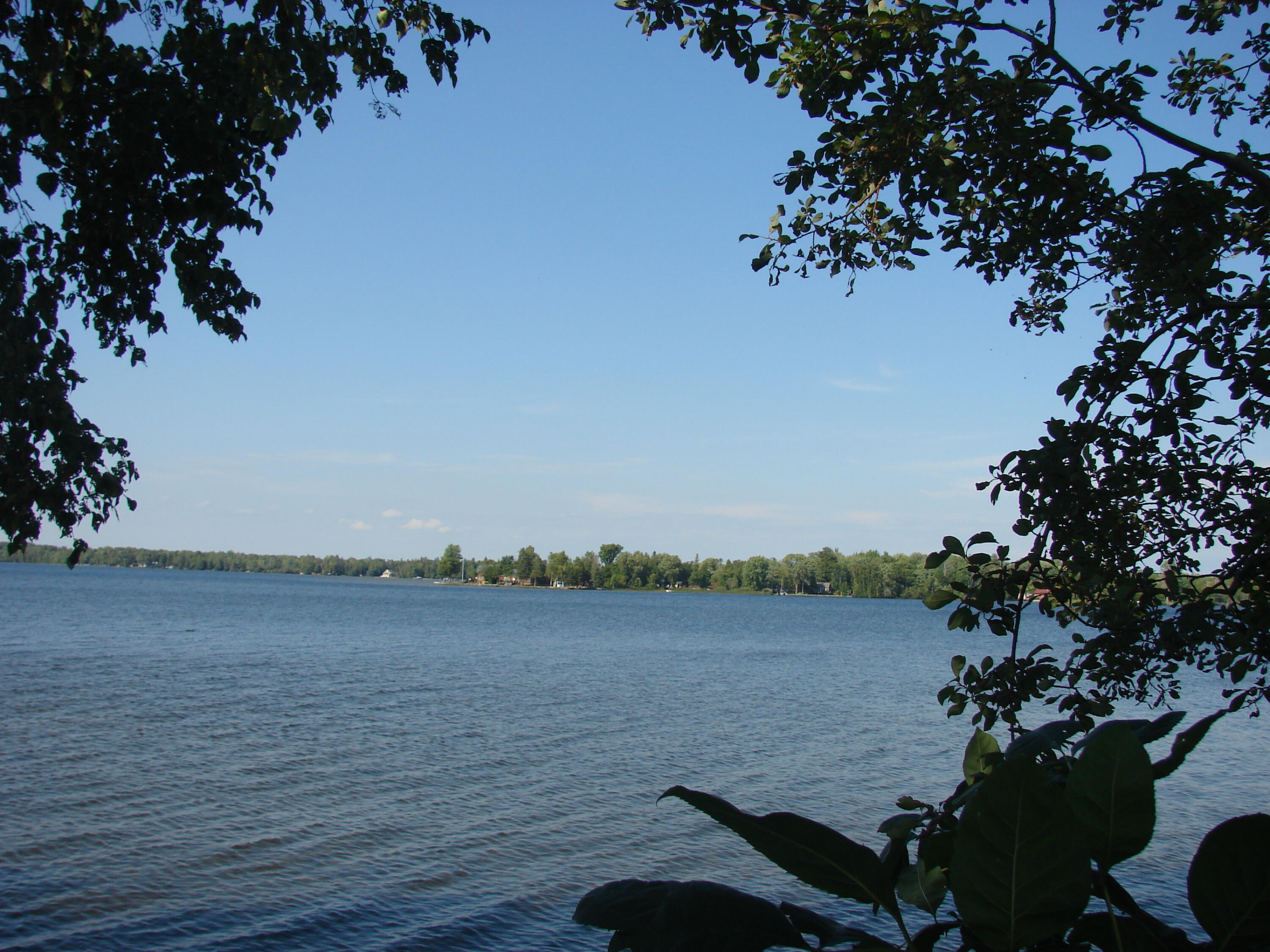 2725 W Brevort Lake Road