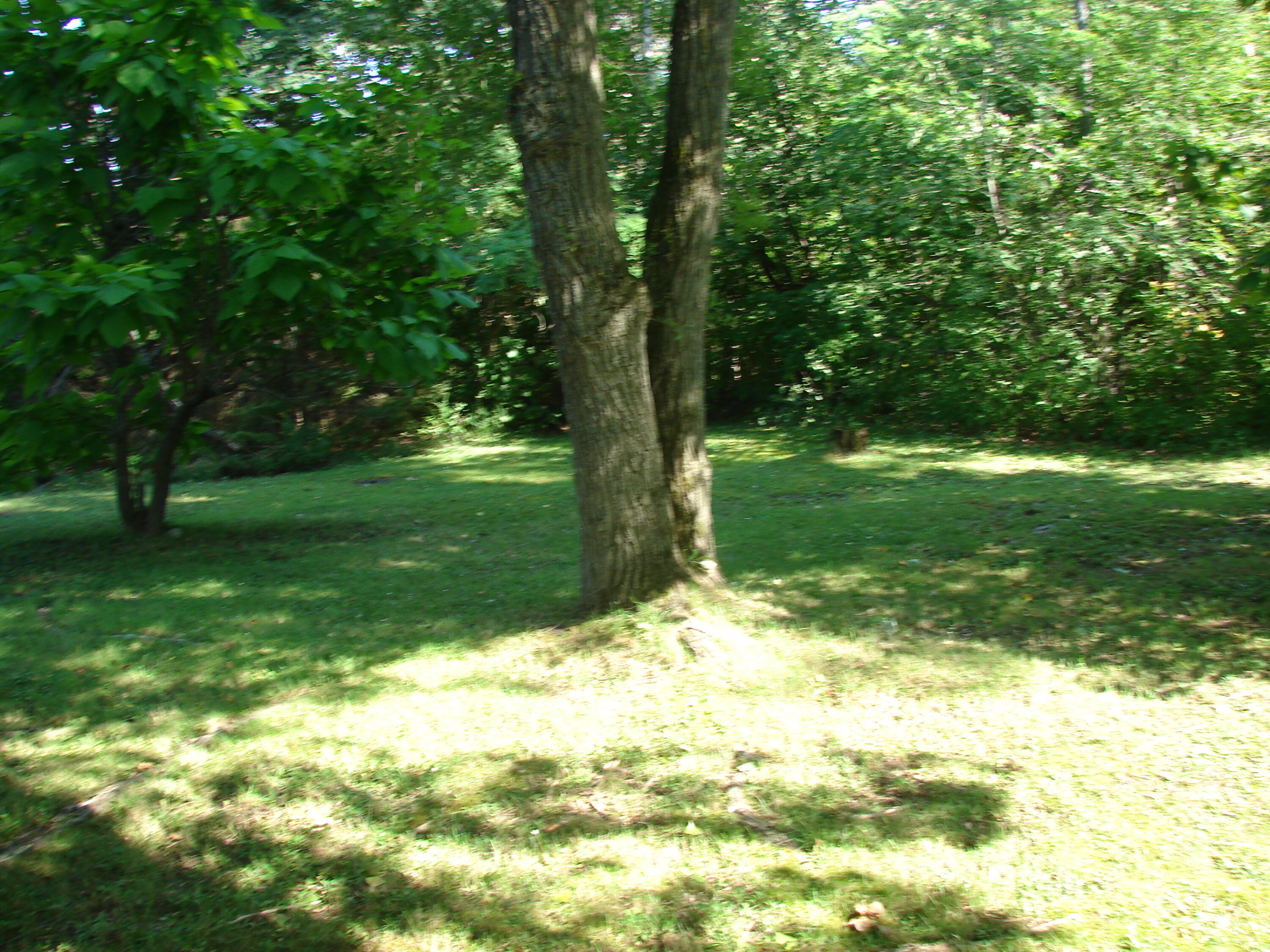 2725 W Brevort Lake Road