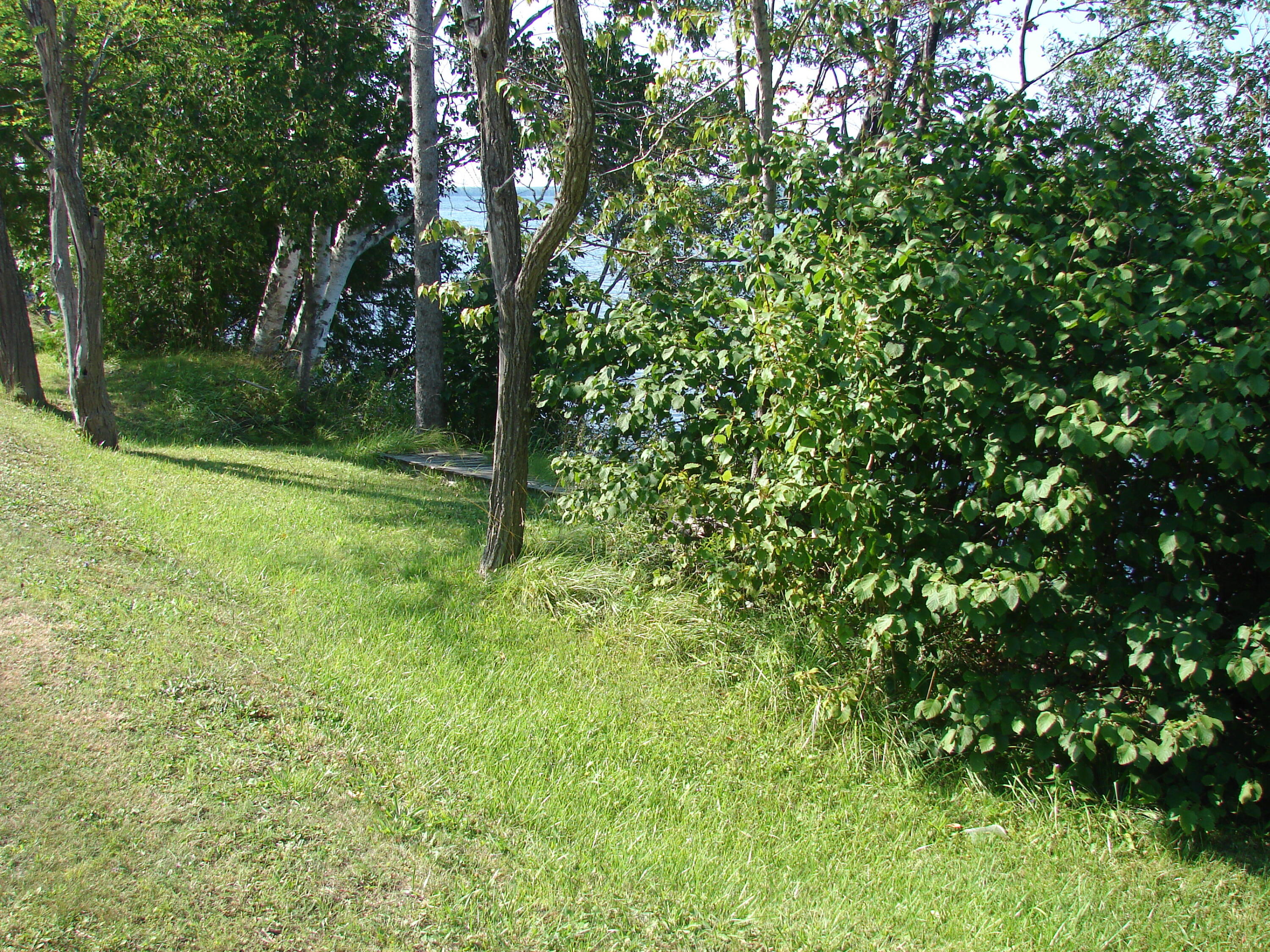 2725 W Brevort Lake Road