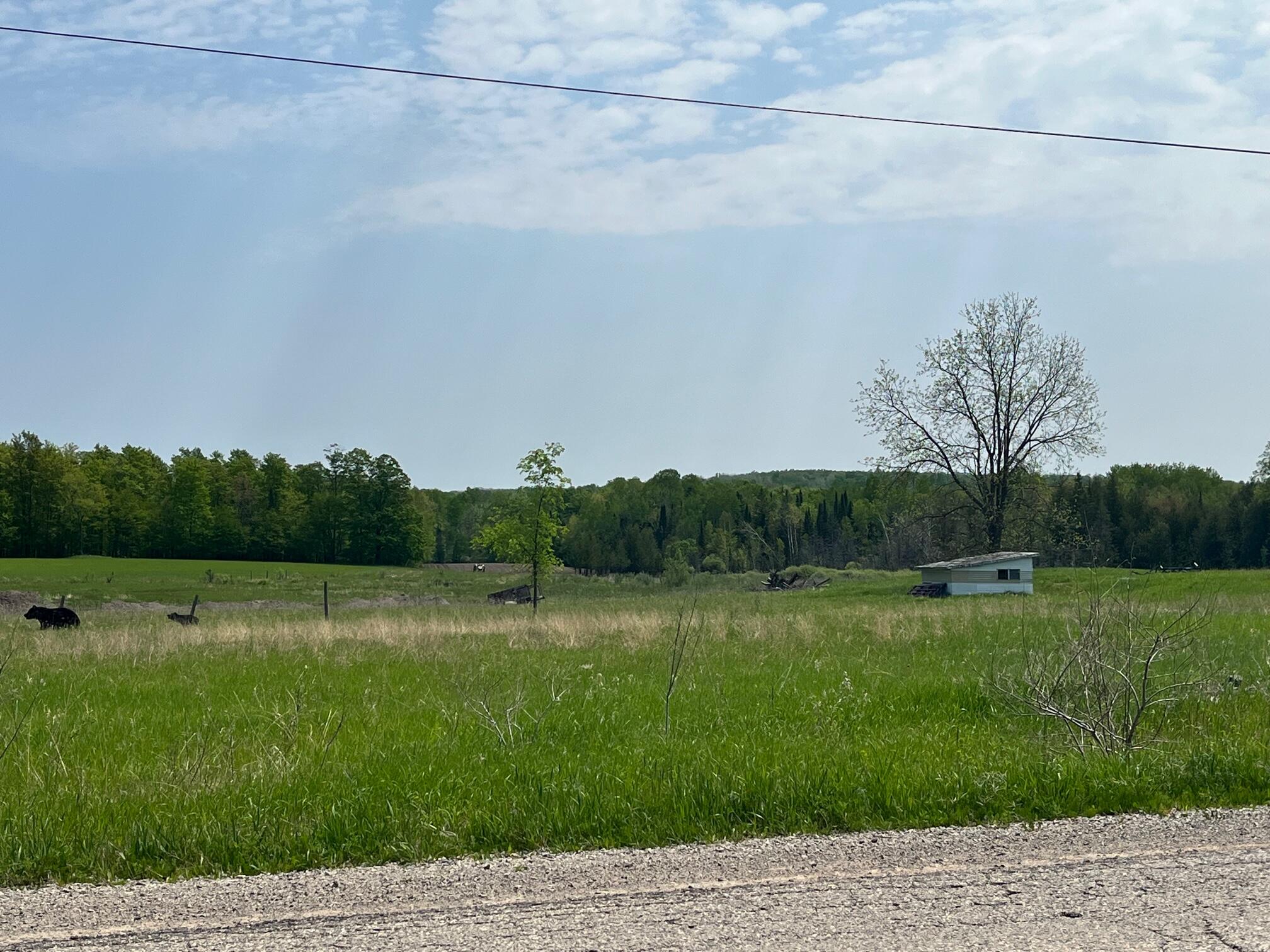 Afton Road
