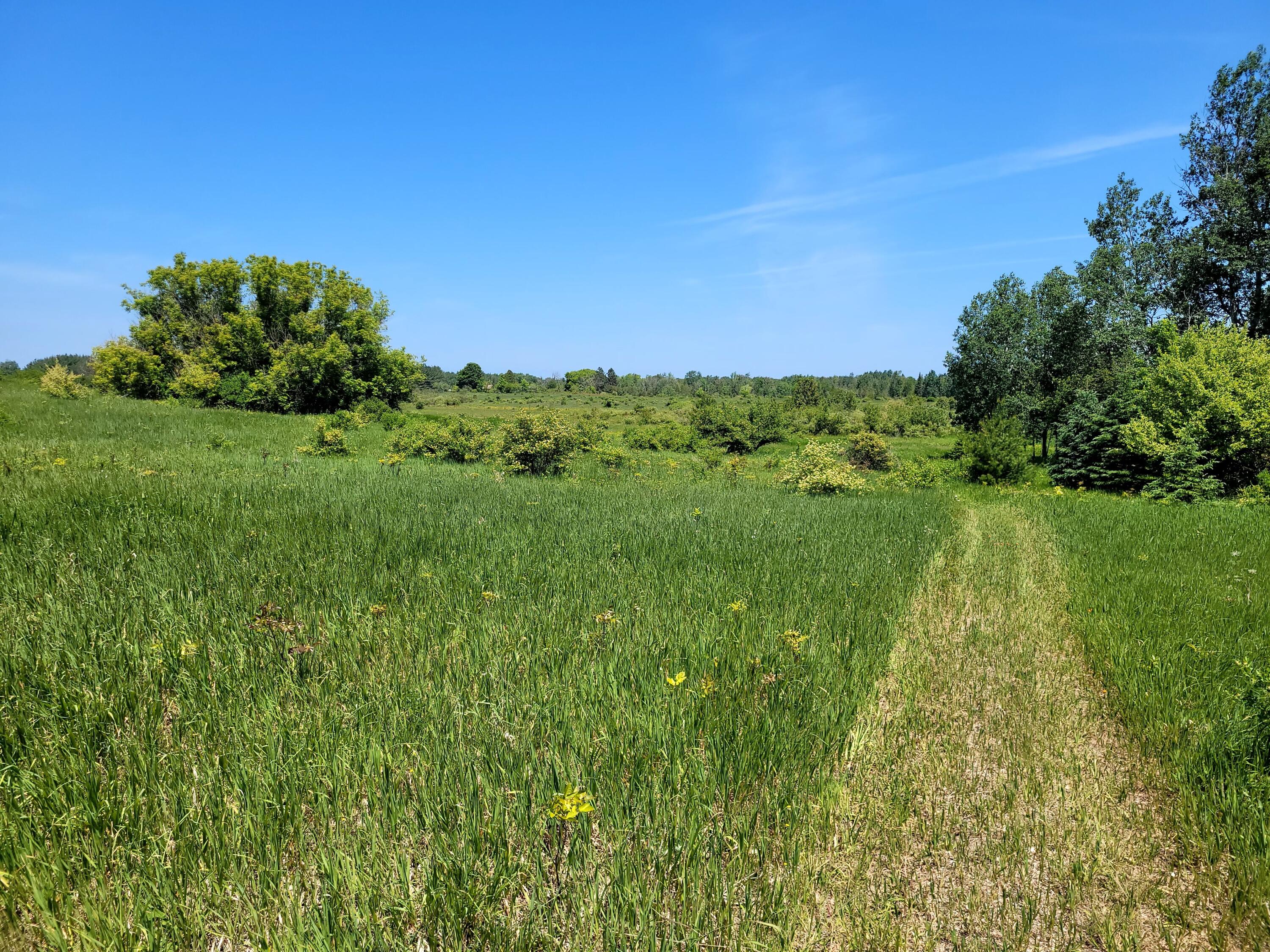 S Ocqueoc Road