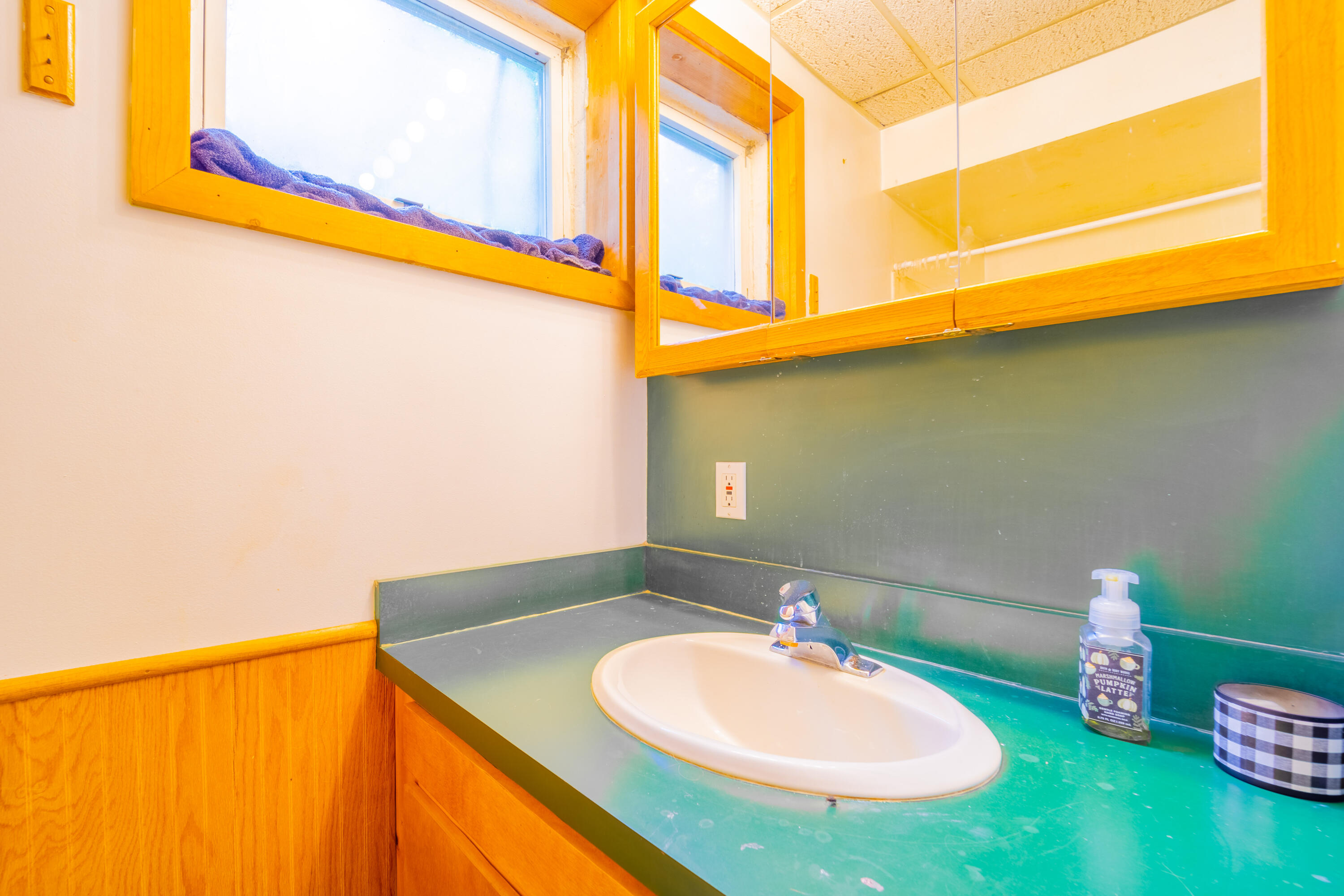 8238 Sturgeon Valley Drive