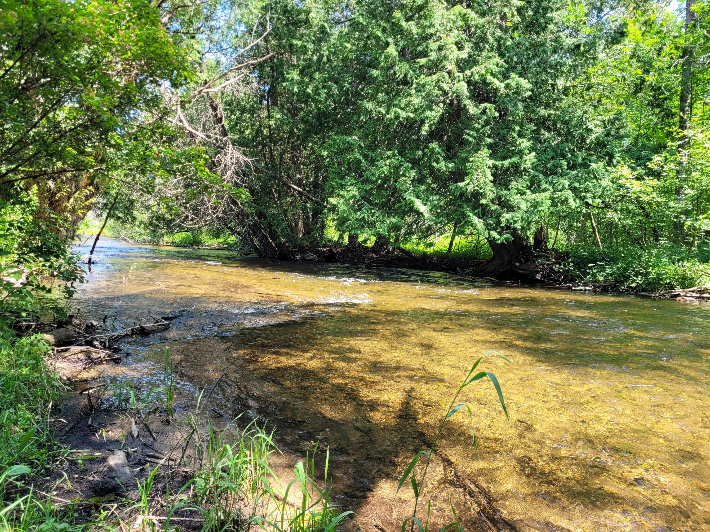 13502 S Straits Highway