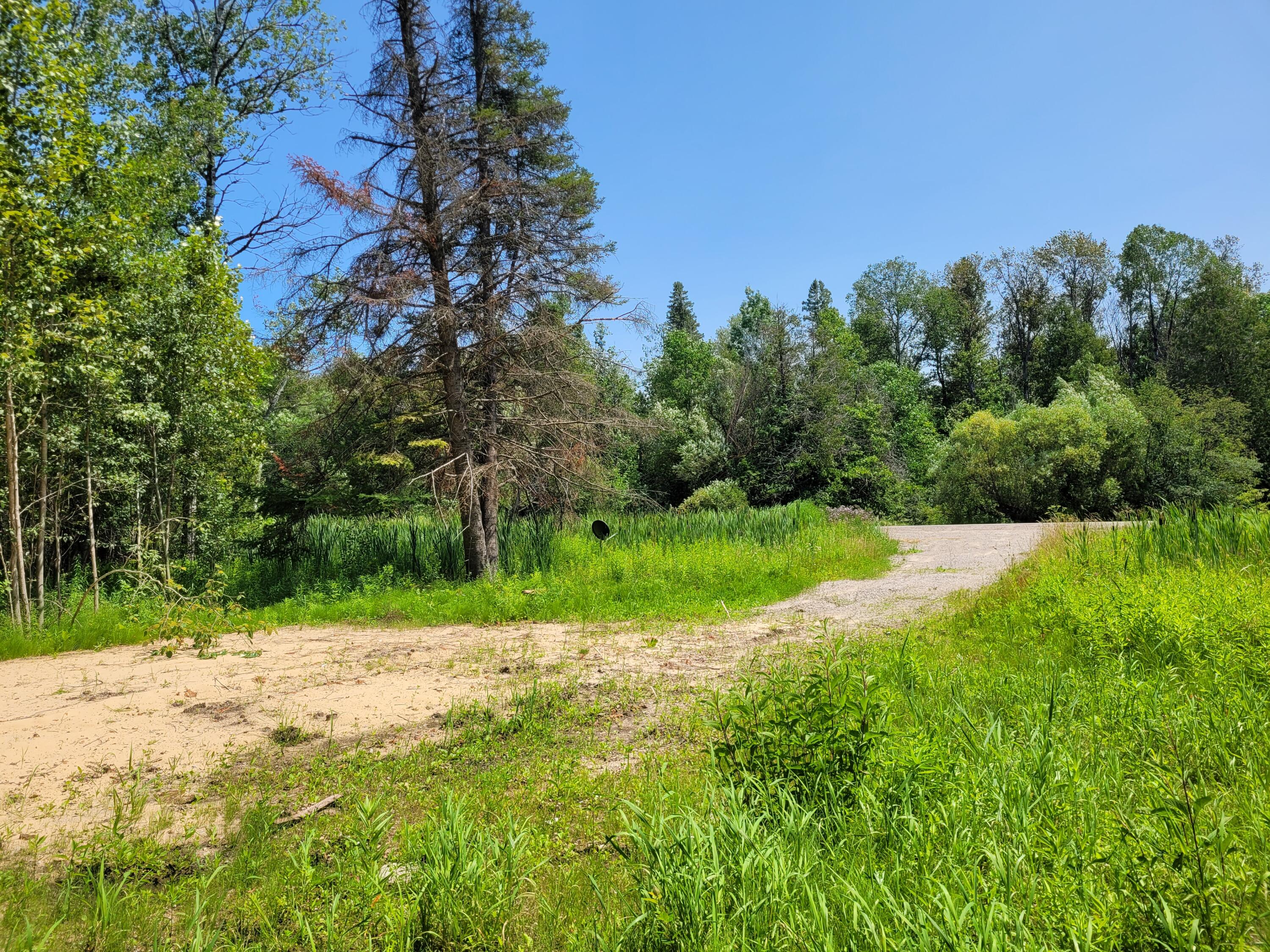 13502 S Straits Highway