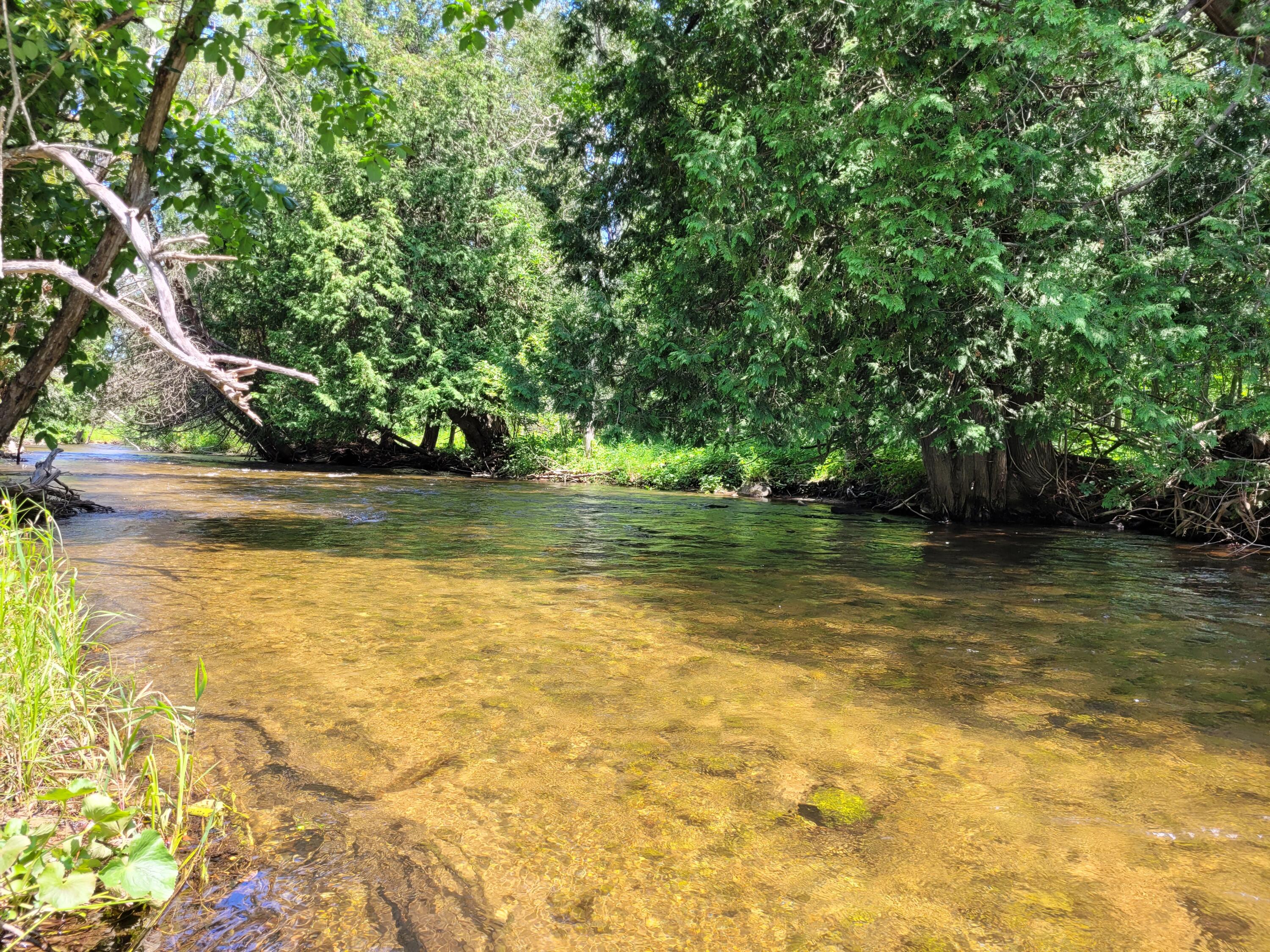 13502 S Straits Highway