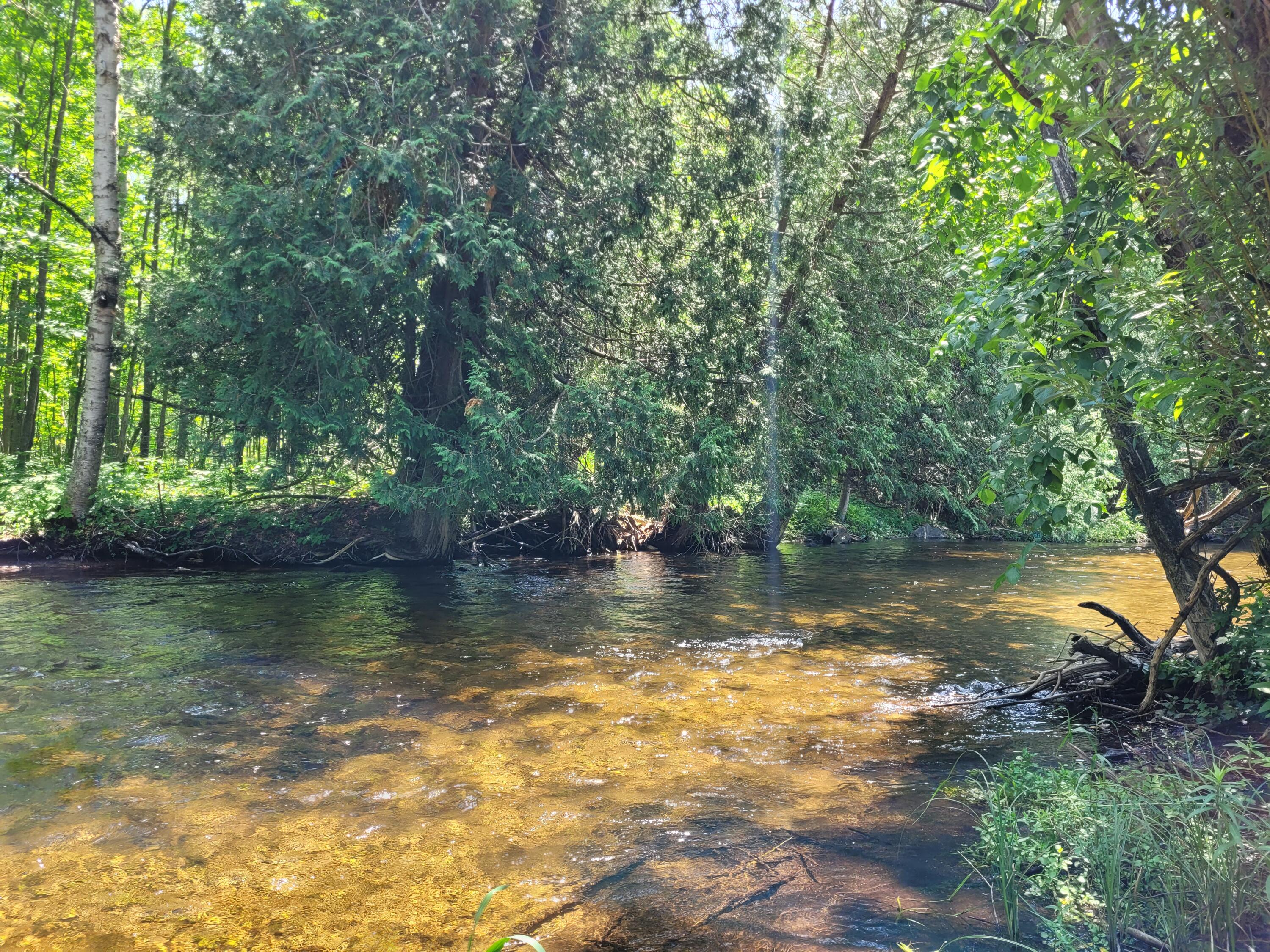 13502 S Straits Highway