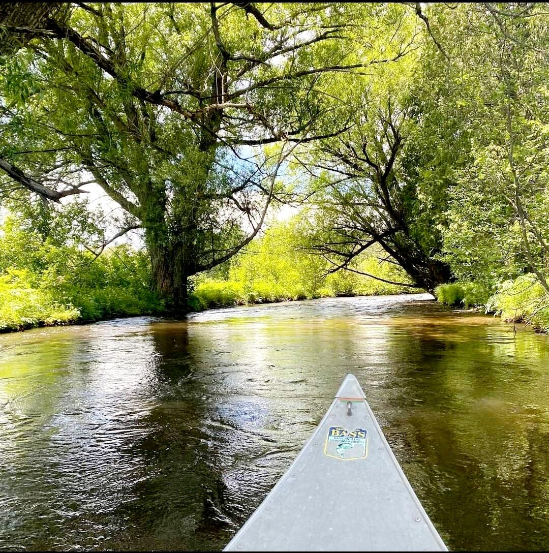 13502 S Straits Highway