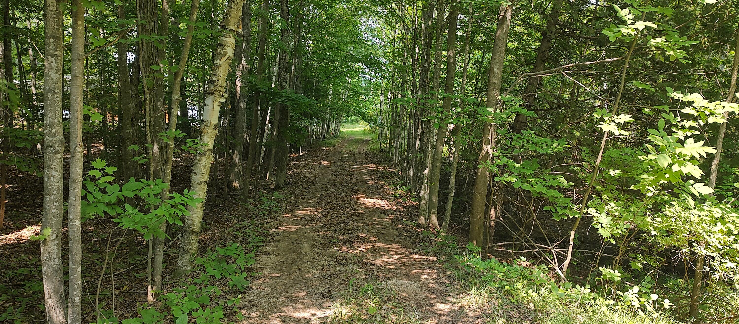 9815 W Munro Lake Drive