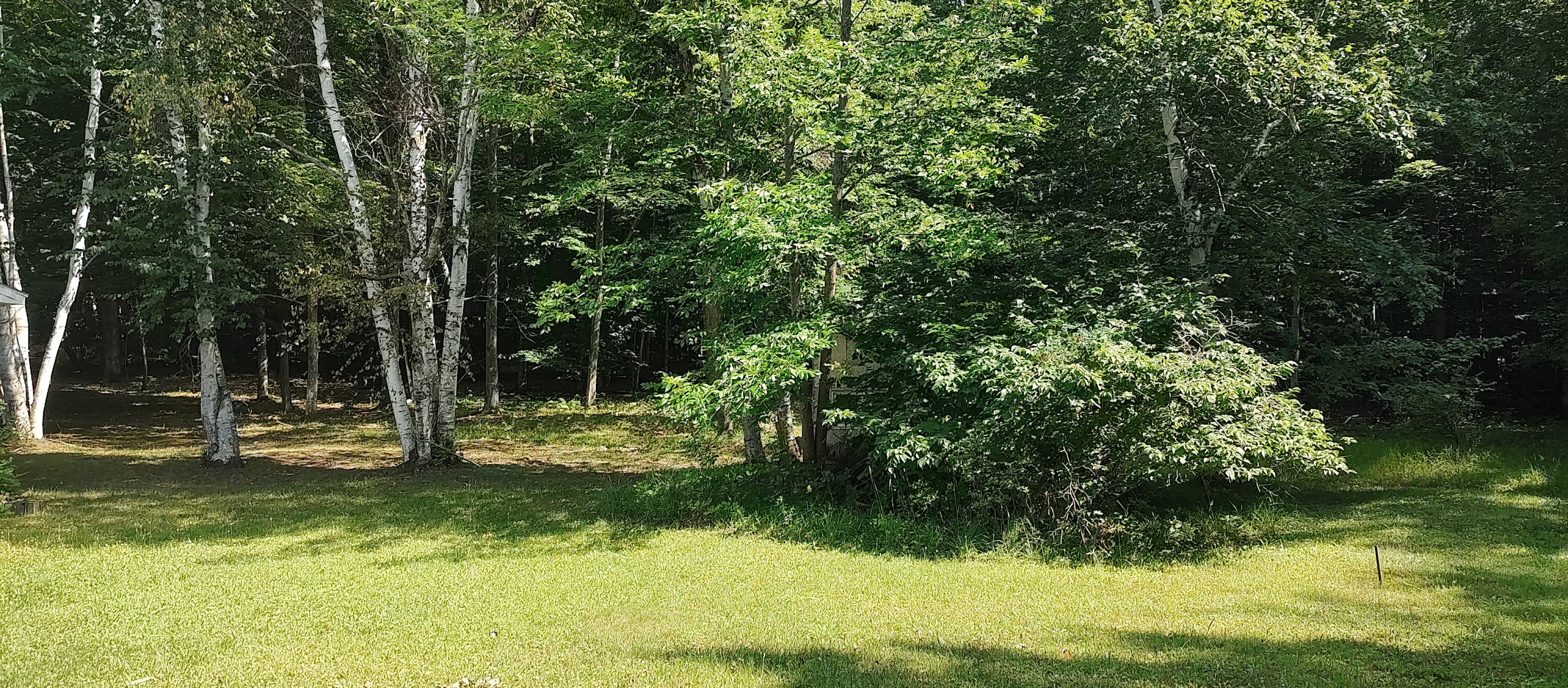 9815 W Munro Lake Drive