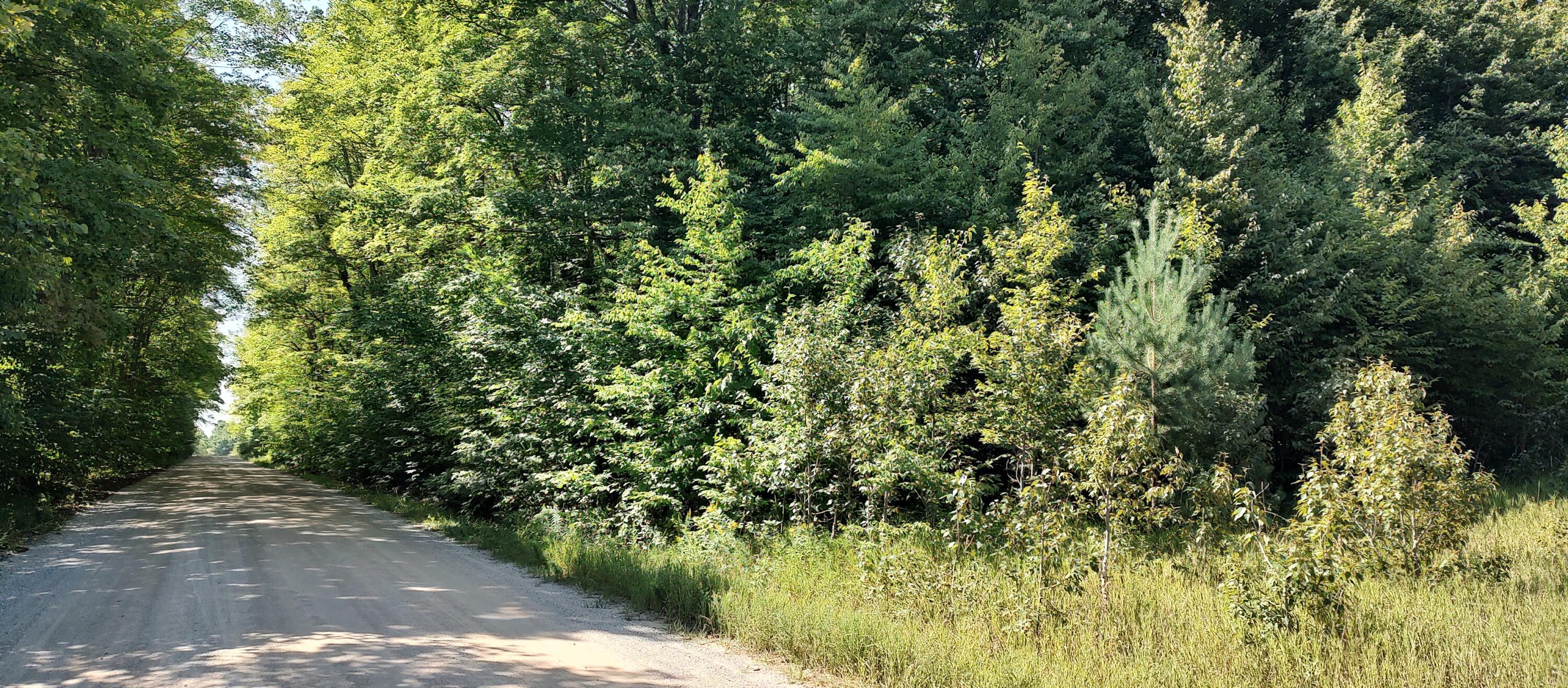 Scott Road