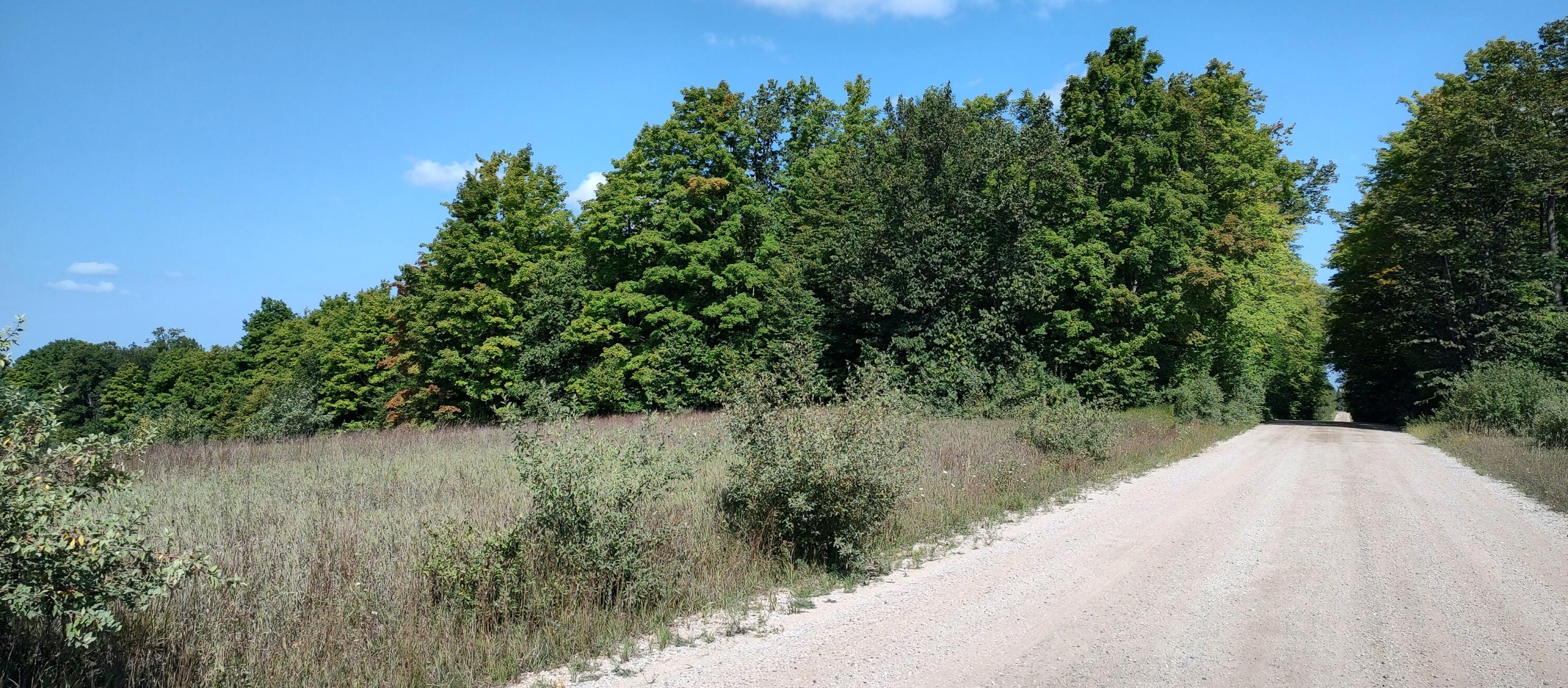 Scott Road