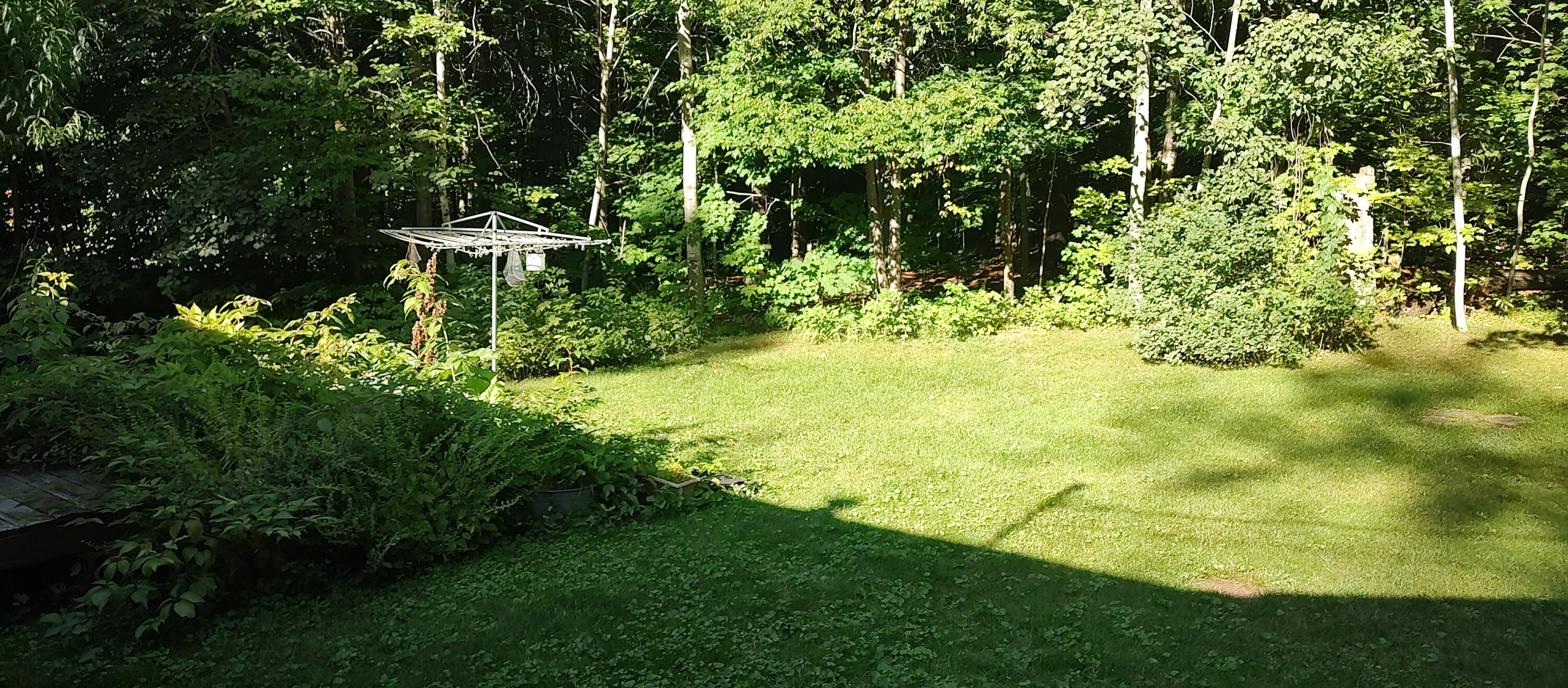 14230 Cedarwood Drive