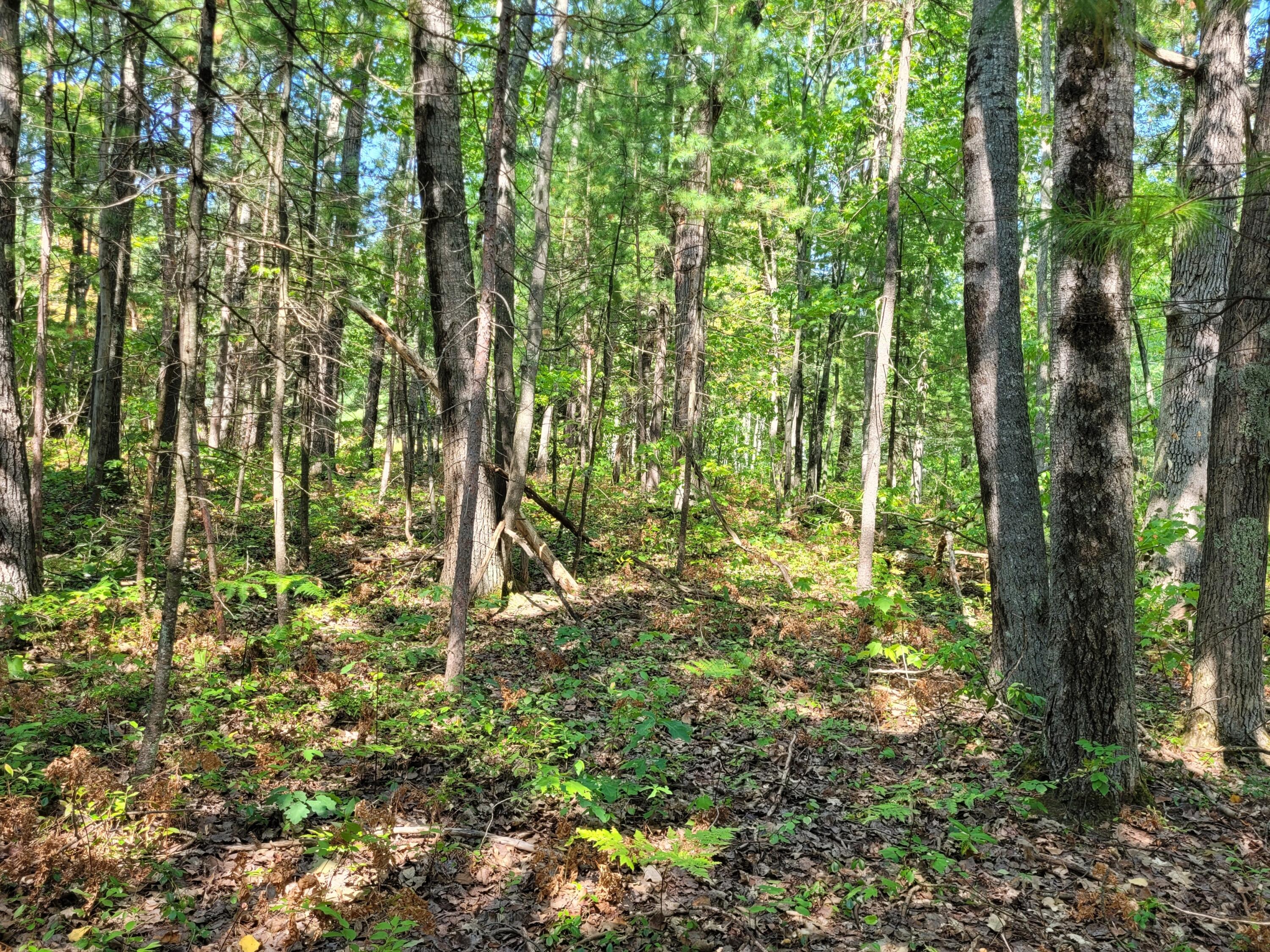 1326 E Grand Boulevard