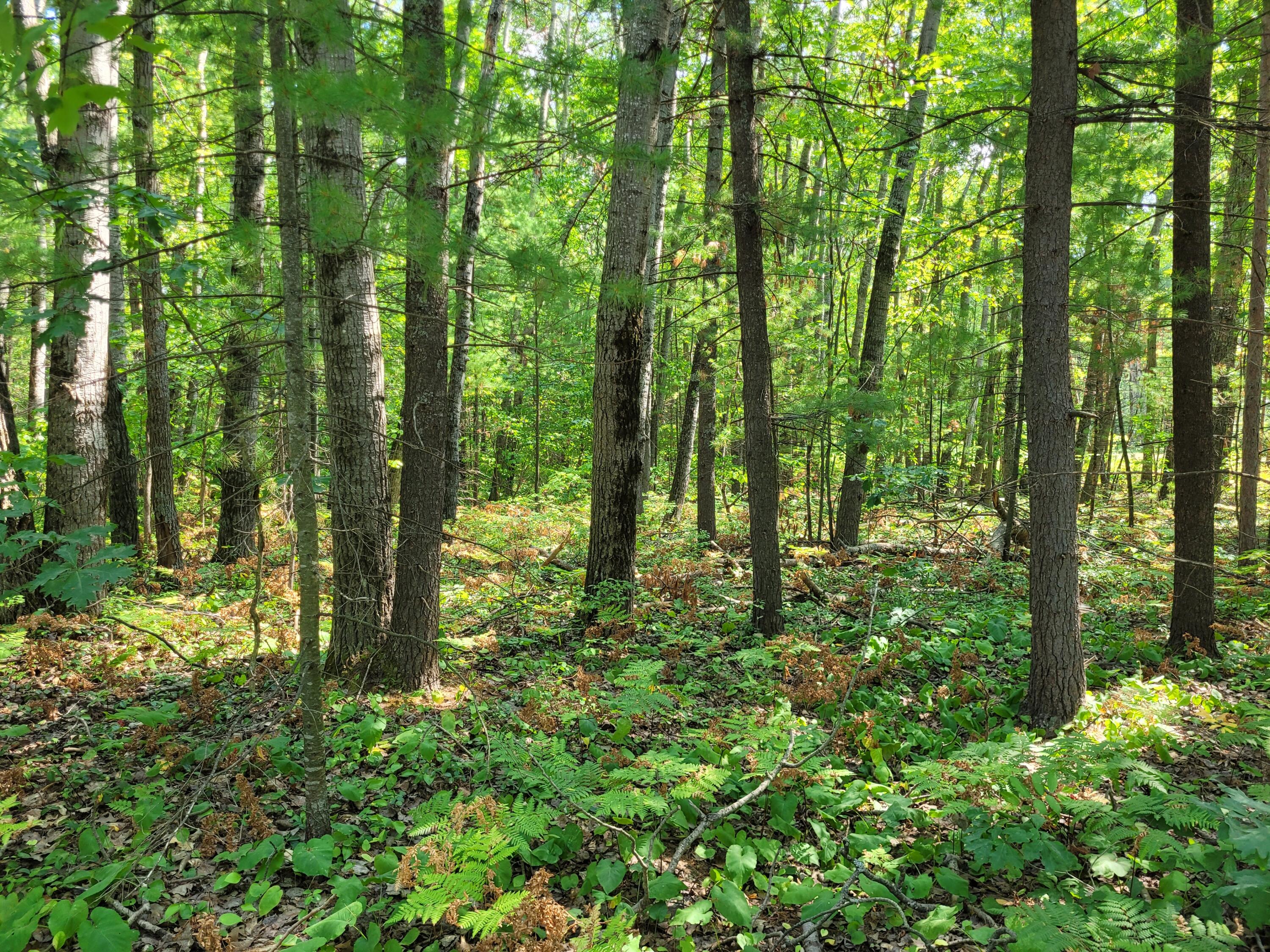 1326 E Grand Boulevard