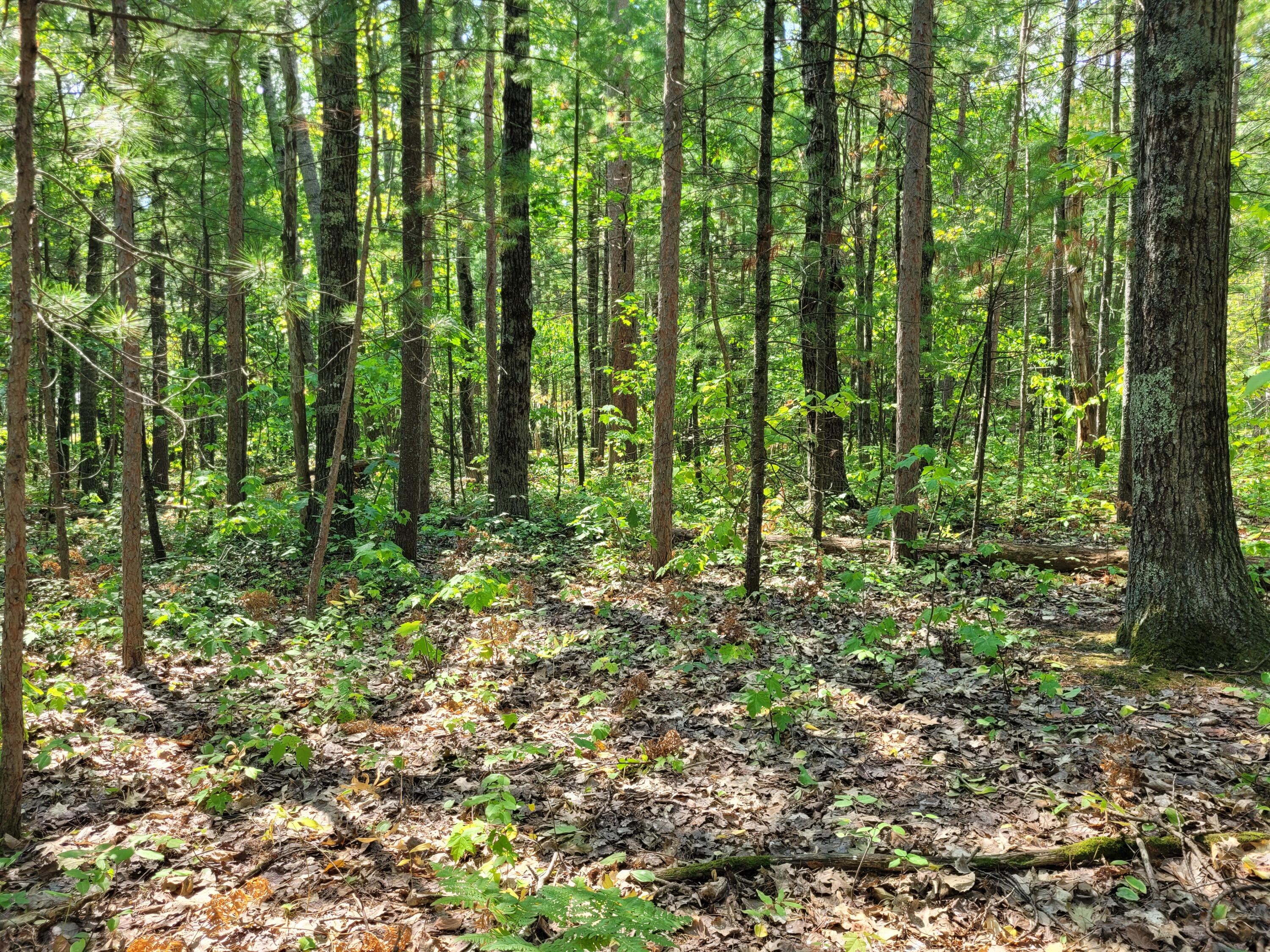 1326 E Grand Boulevard