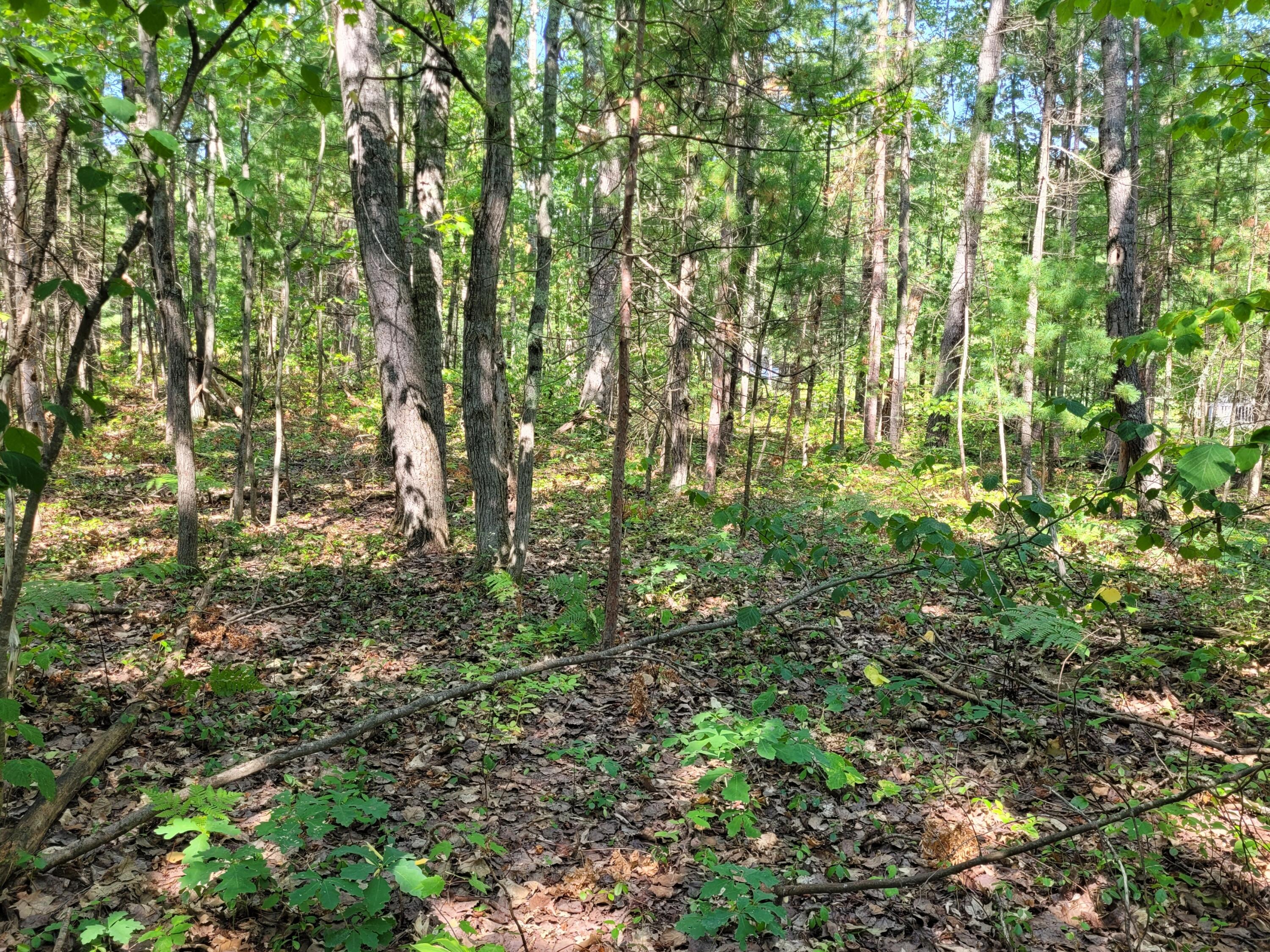 1326 E Grand Boulevard