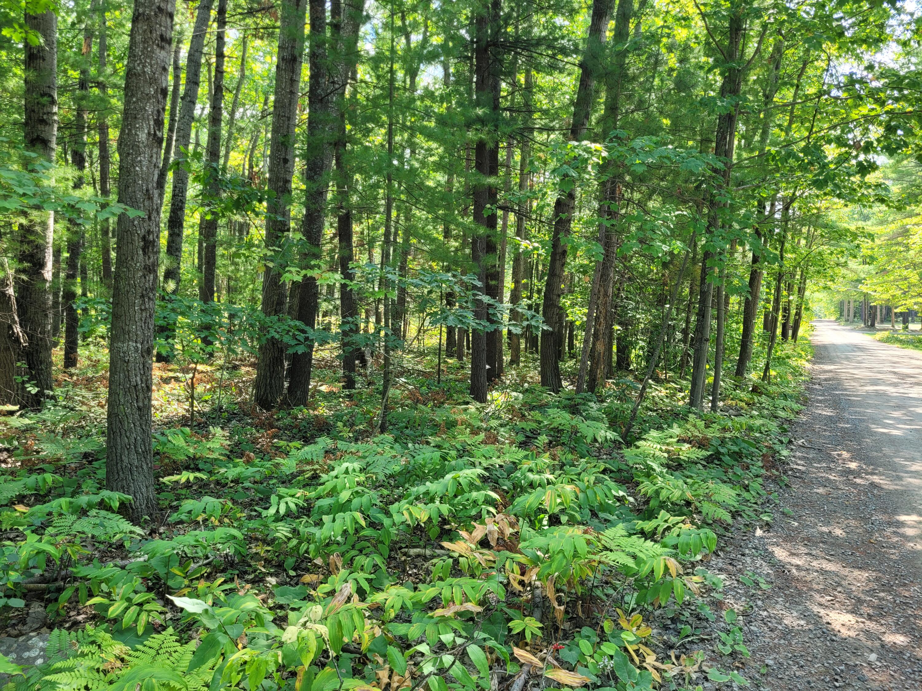 1326 E Grand Boulevard