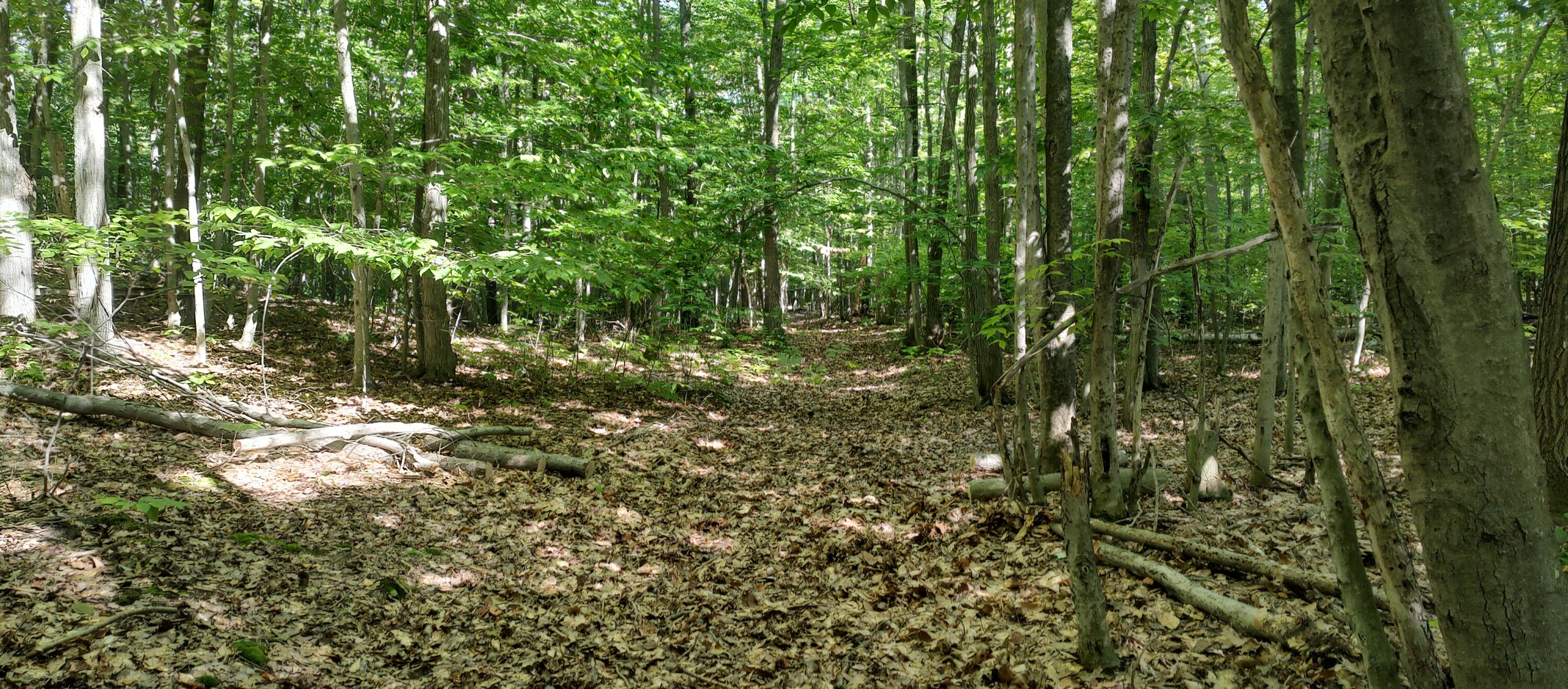 3333 Bennett Road