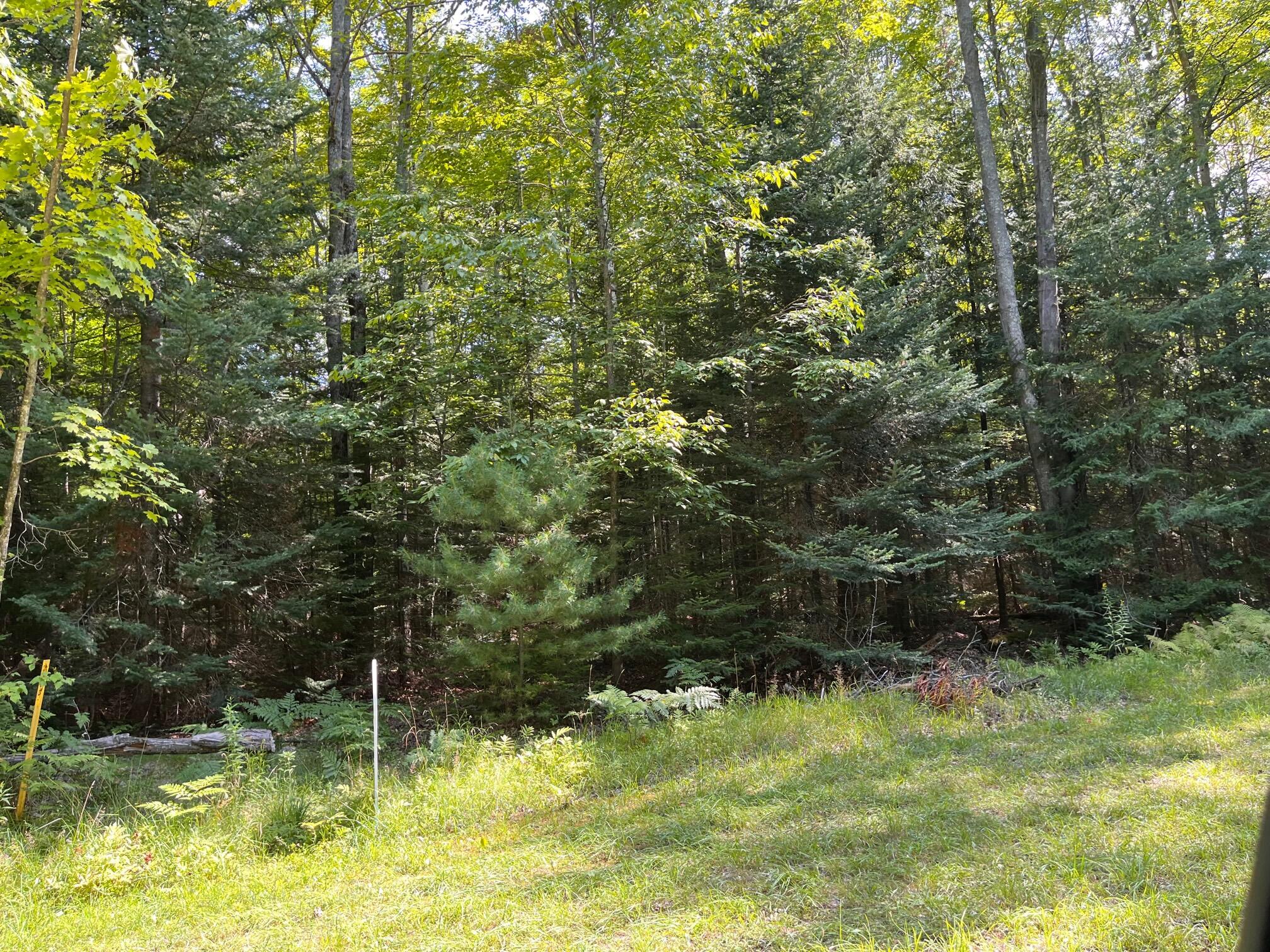 Unit 10 Basswood Lane