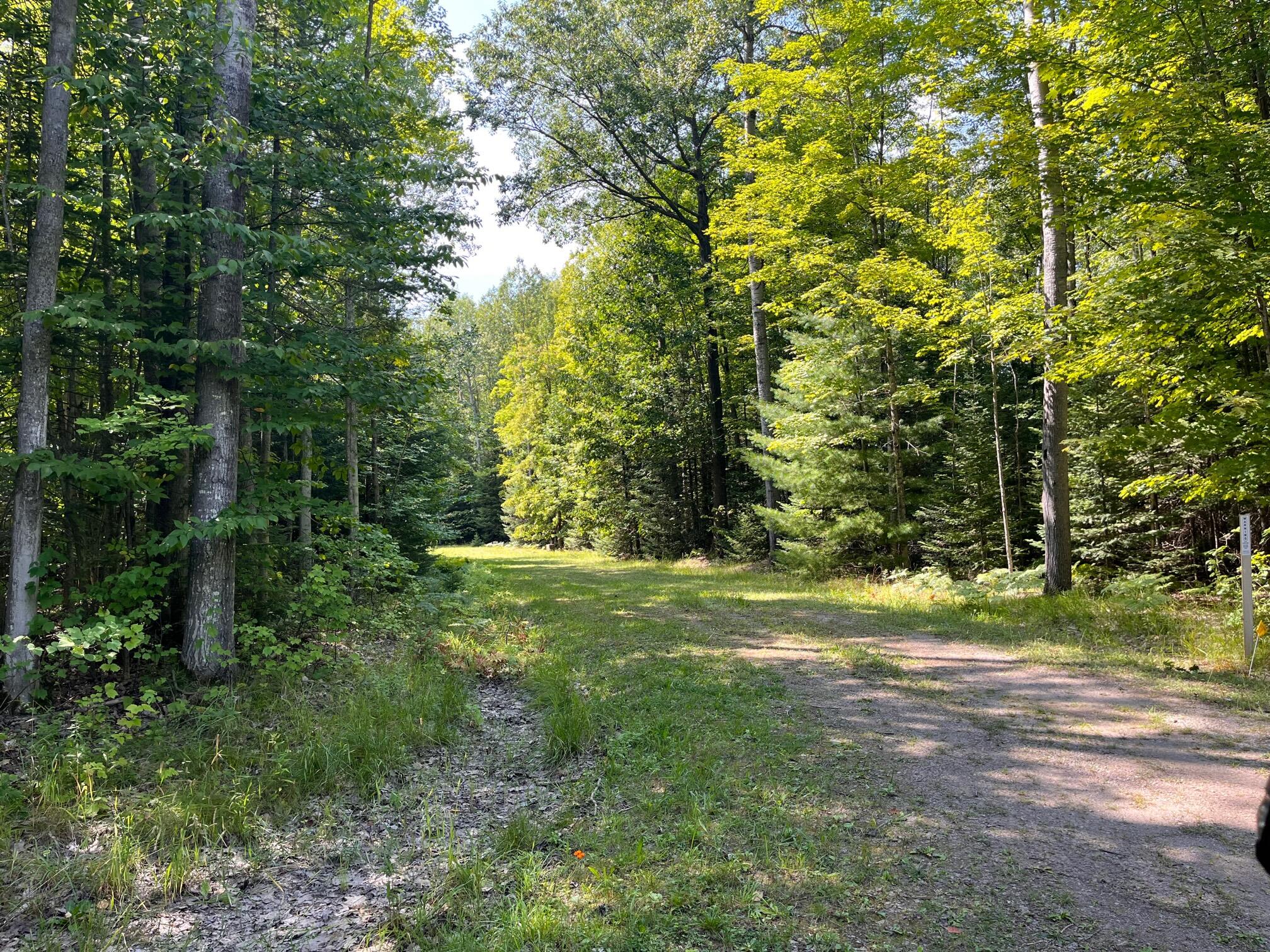 Unit 10 Basswood Lane