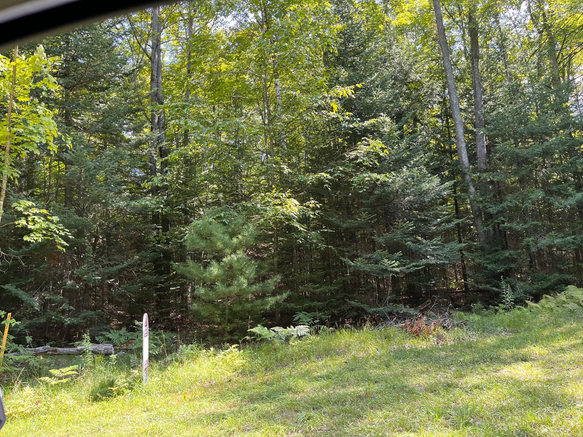 Unit 10 Basswood Lane