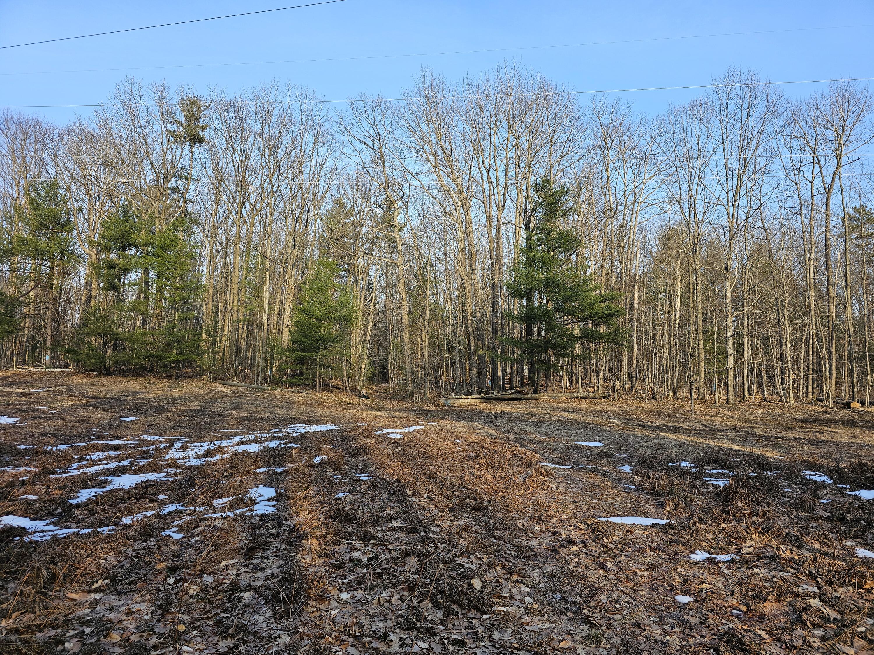 3379 S Extension Road