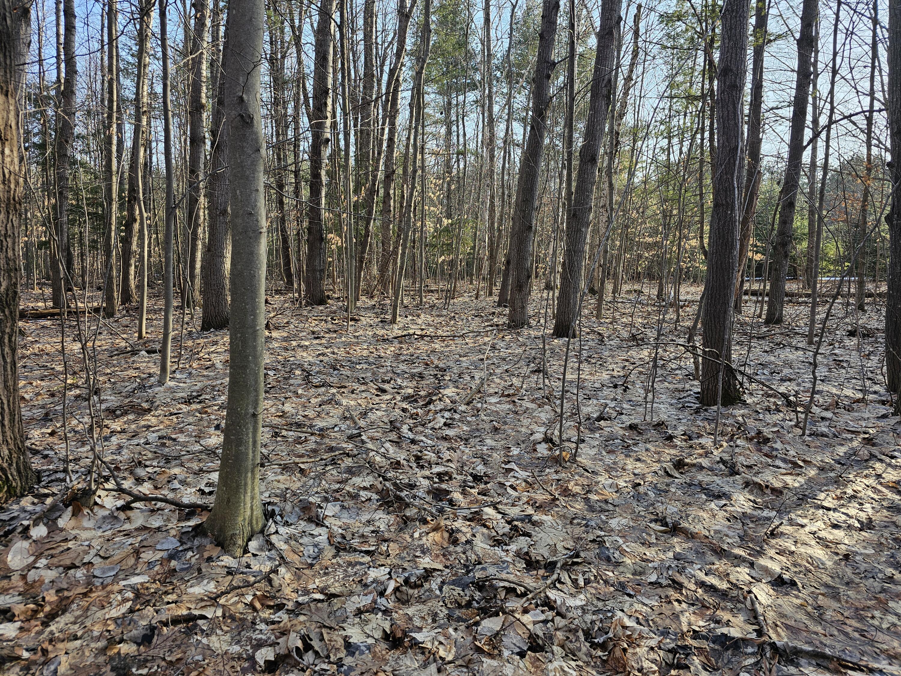 3379 S Extension Road