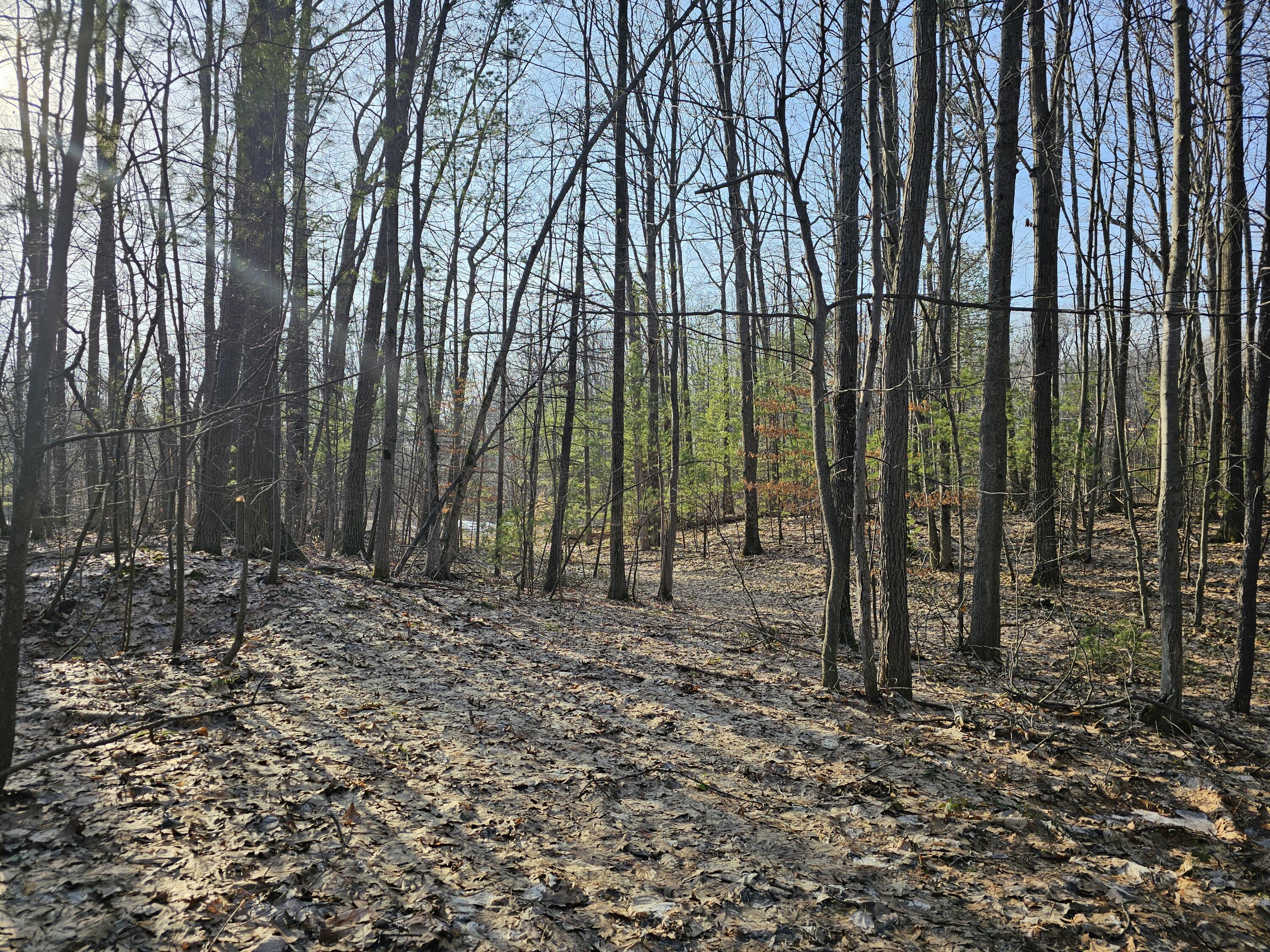 3379 S Extension Road