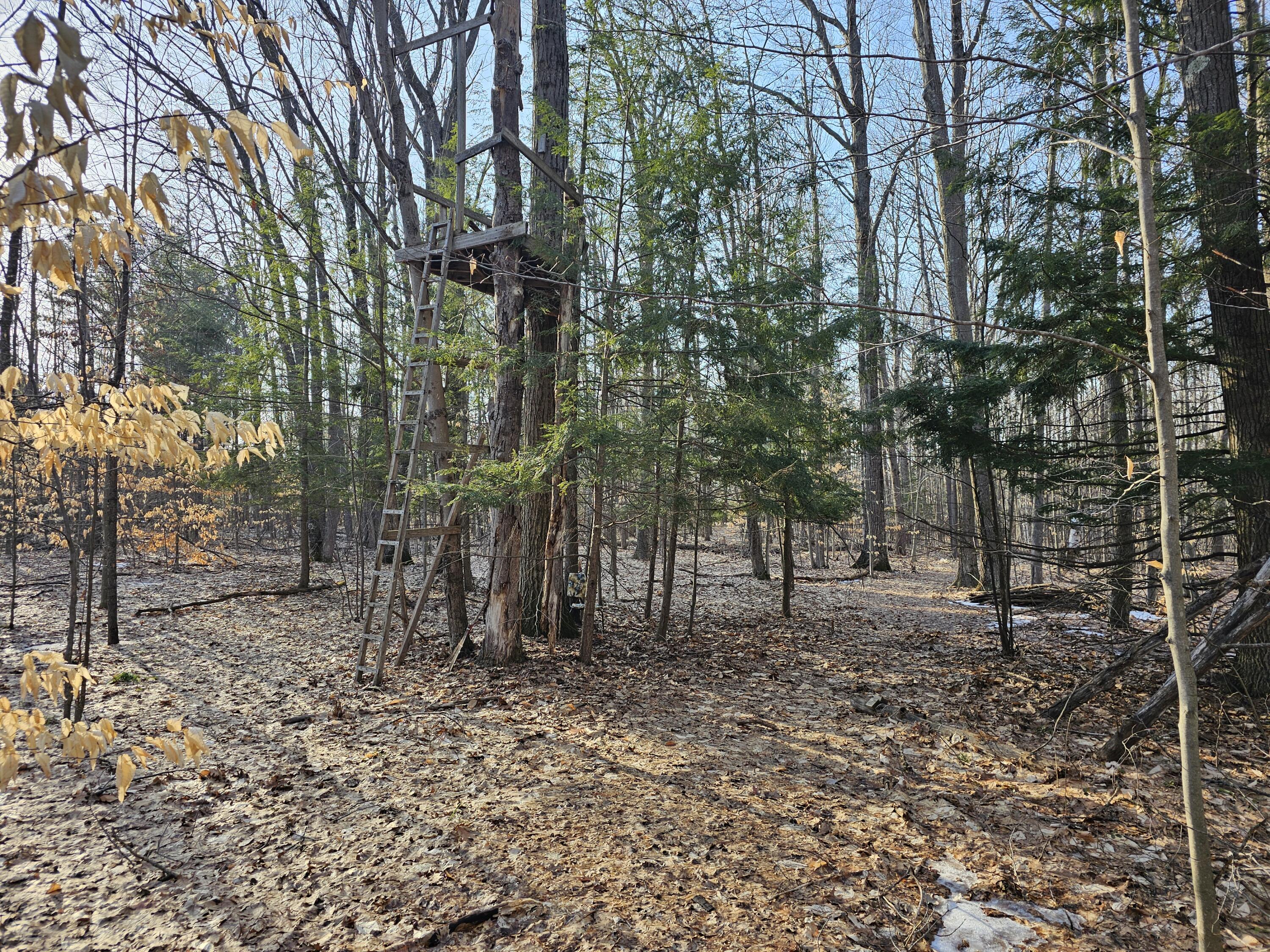3379 S Extension Road