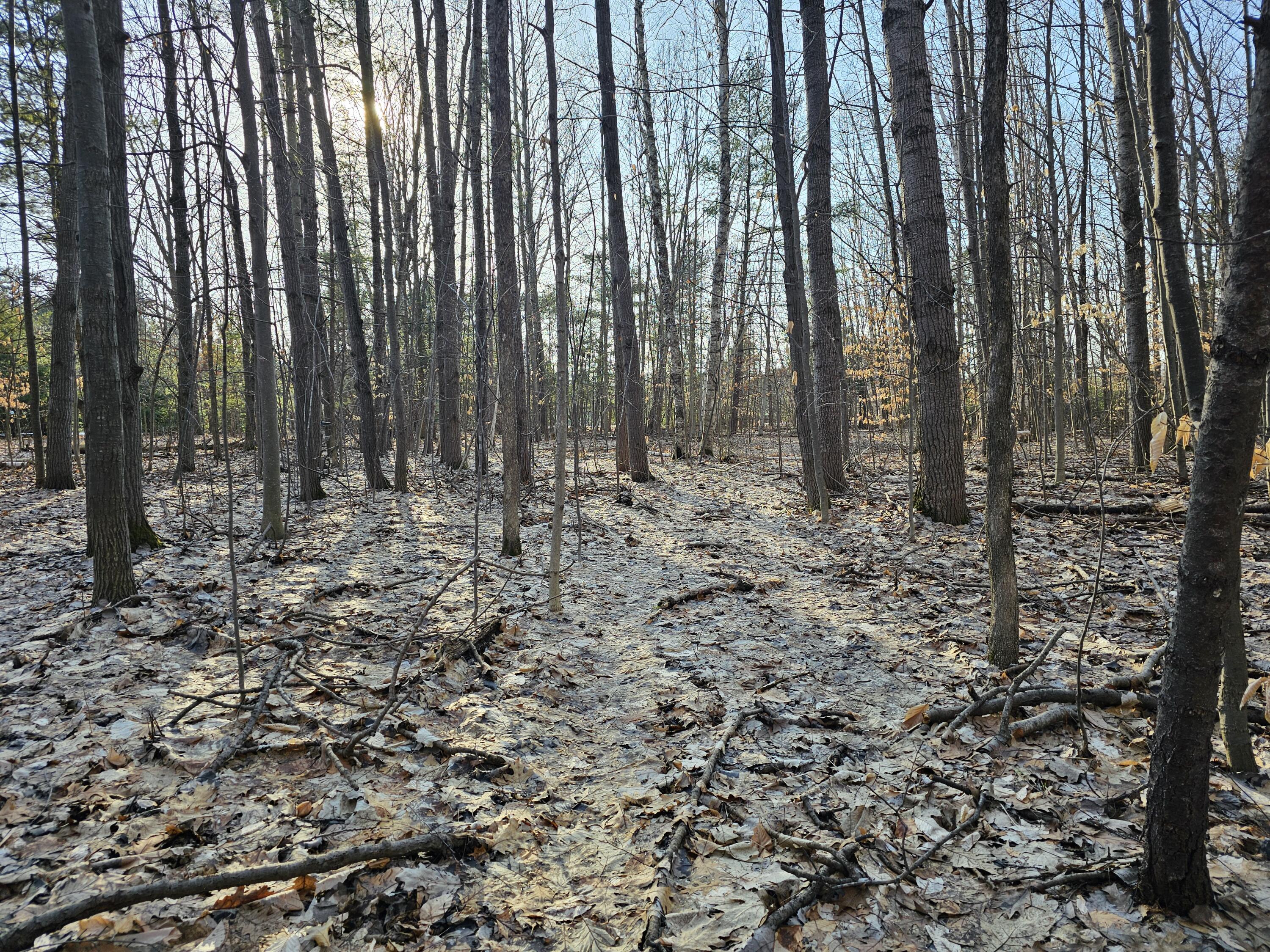 3379 S Extension Road
