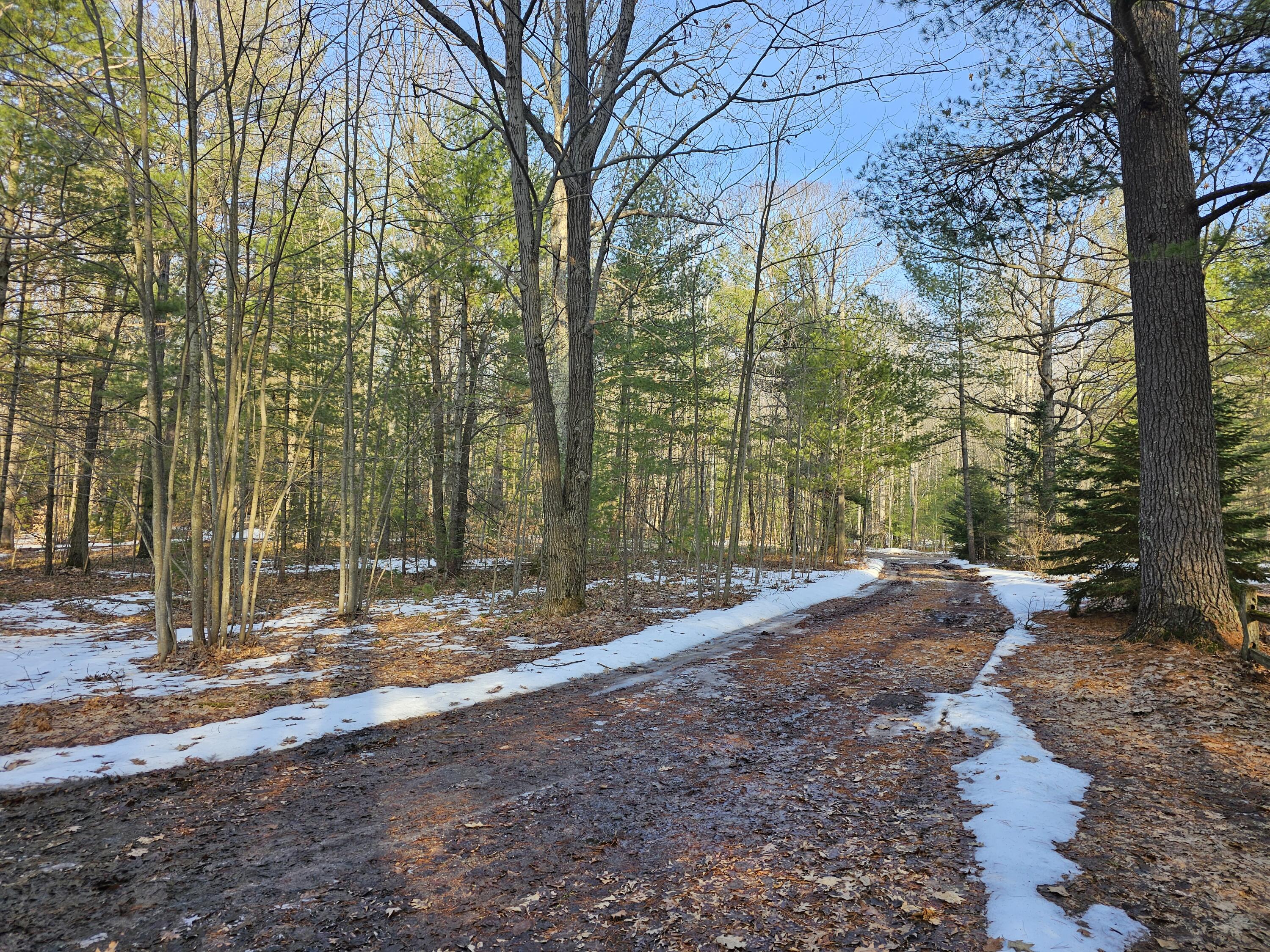 3379 S Extension Road