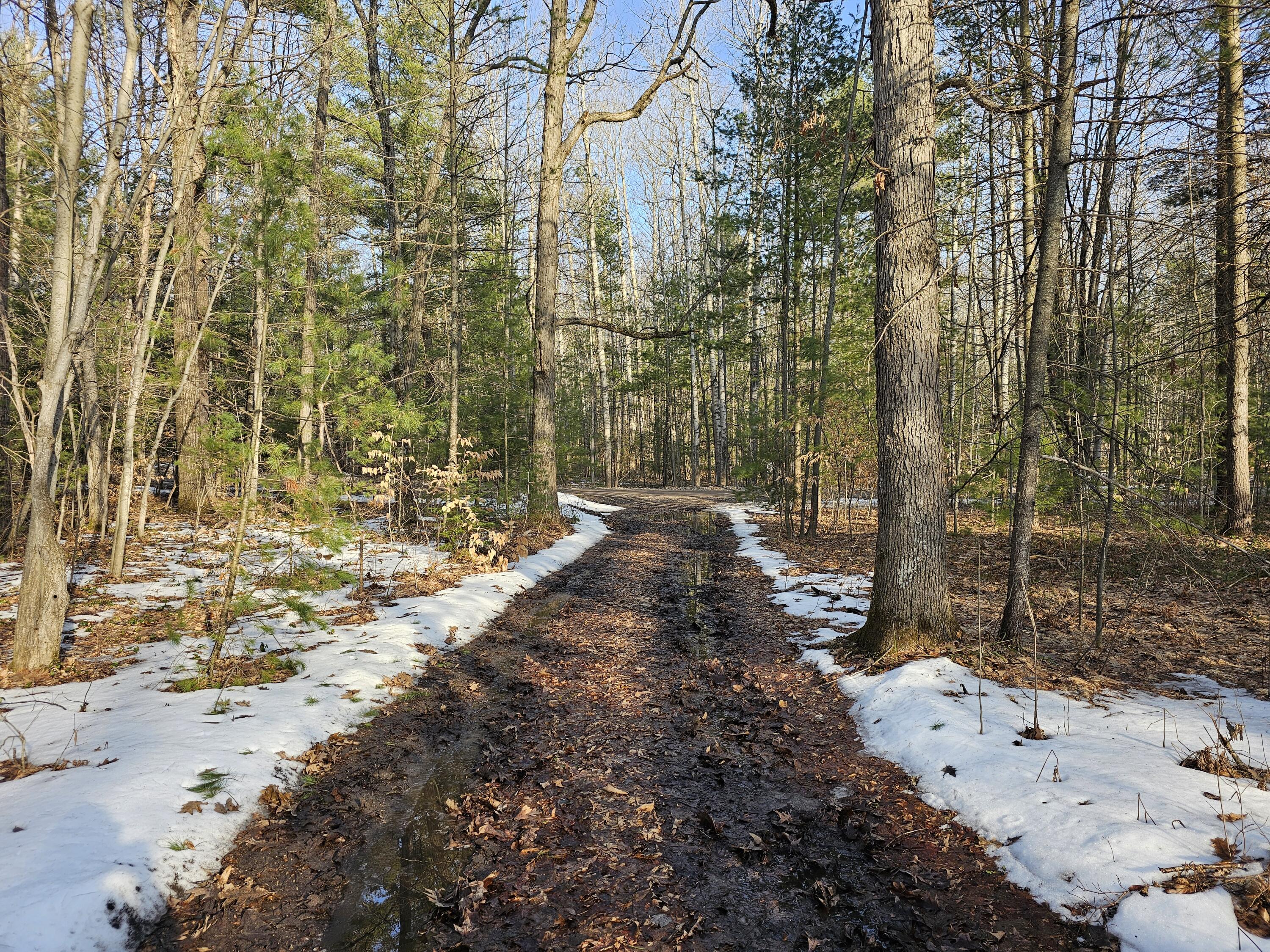 3379 S Extension Road
