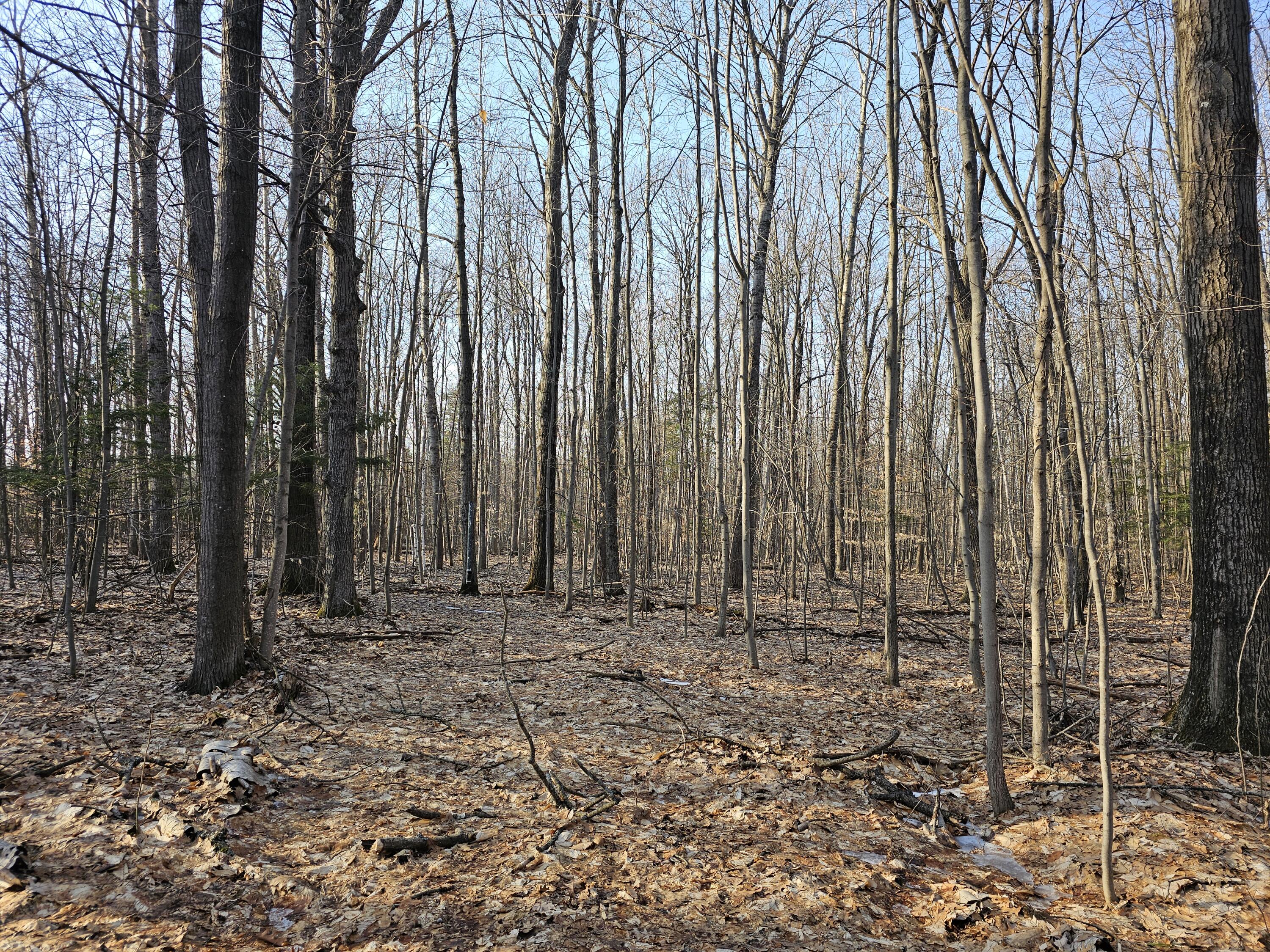 3379 S Extension Road